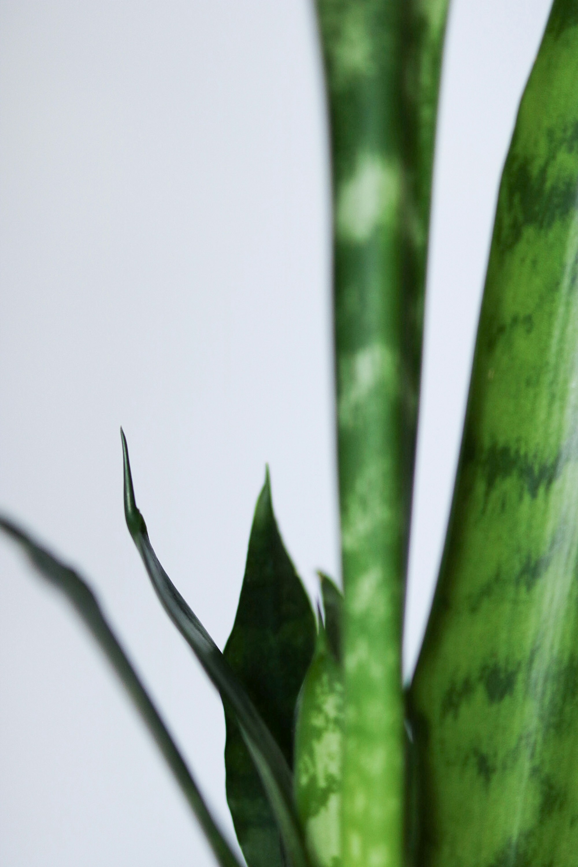 Photo by ashleycanaday