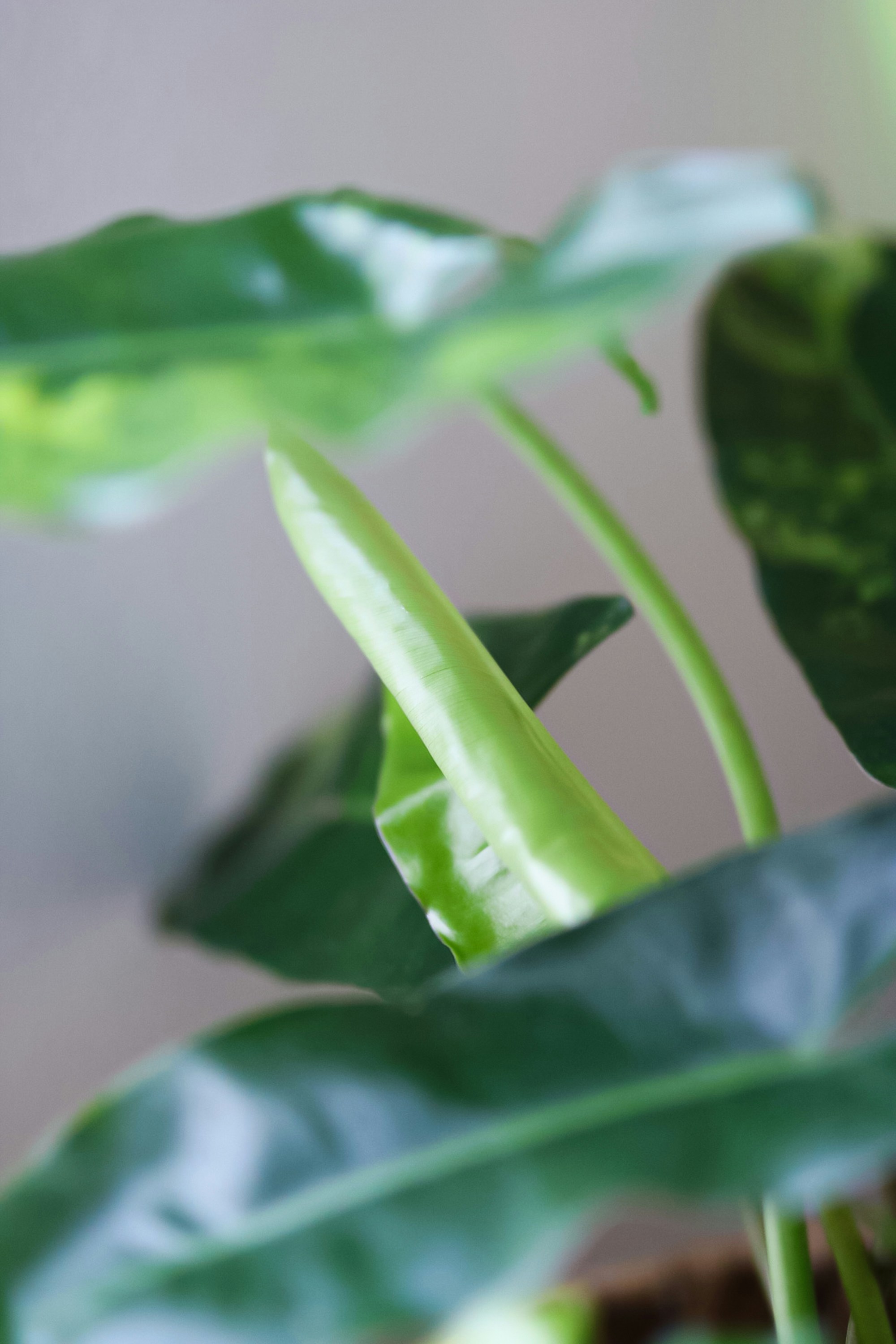 Photo by ashleycanaday