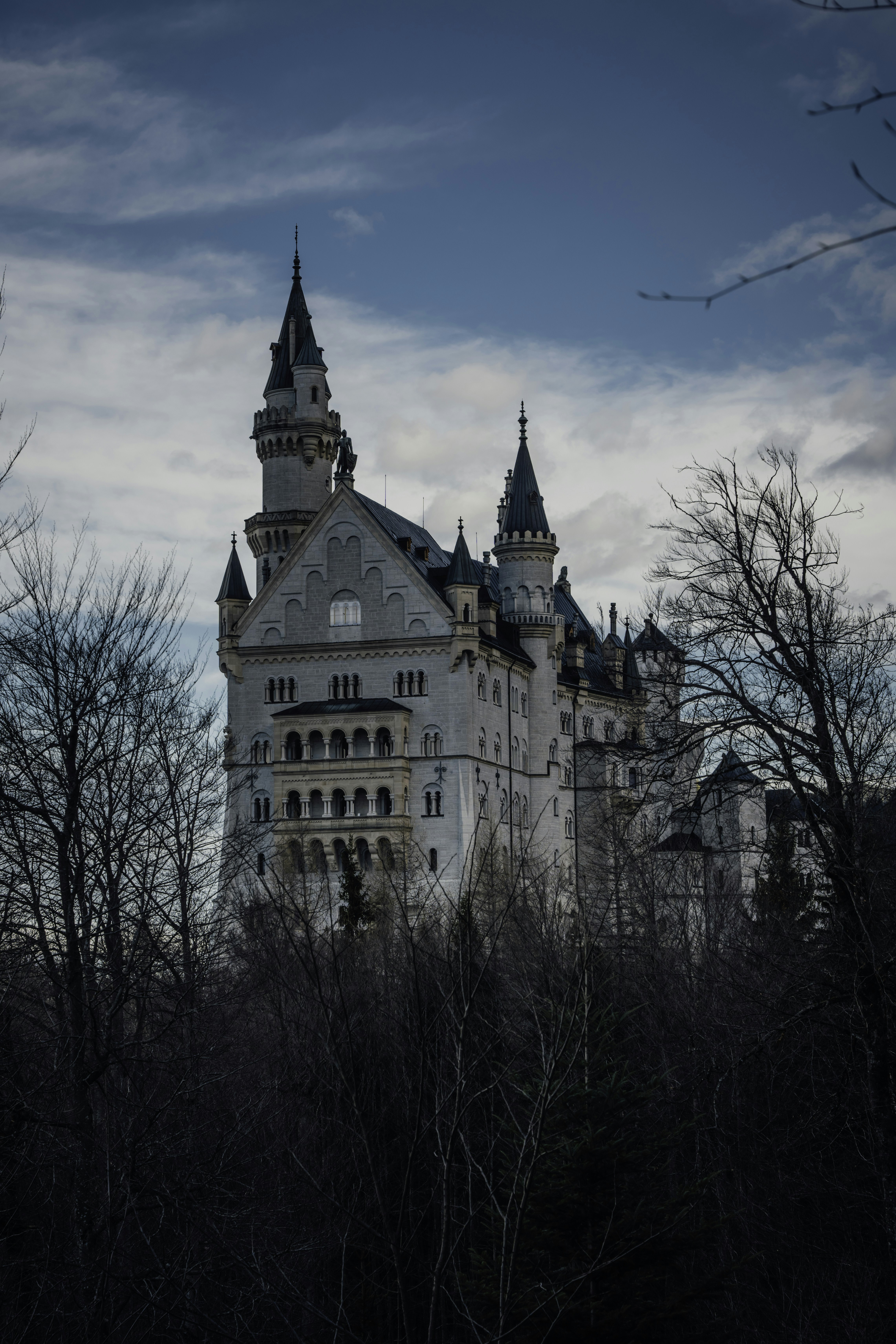 Photo by winstontjia