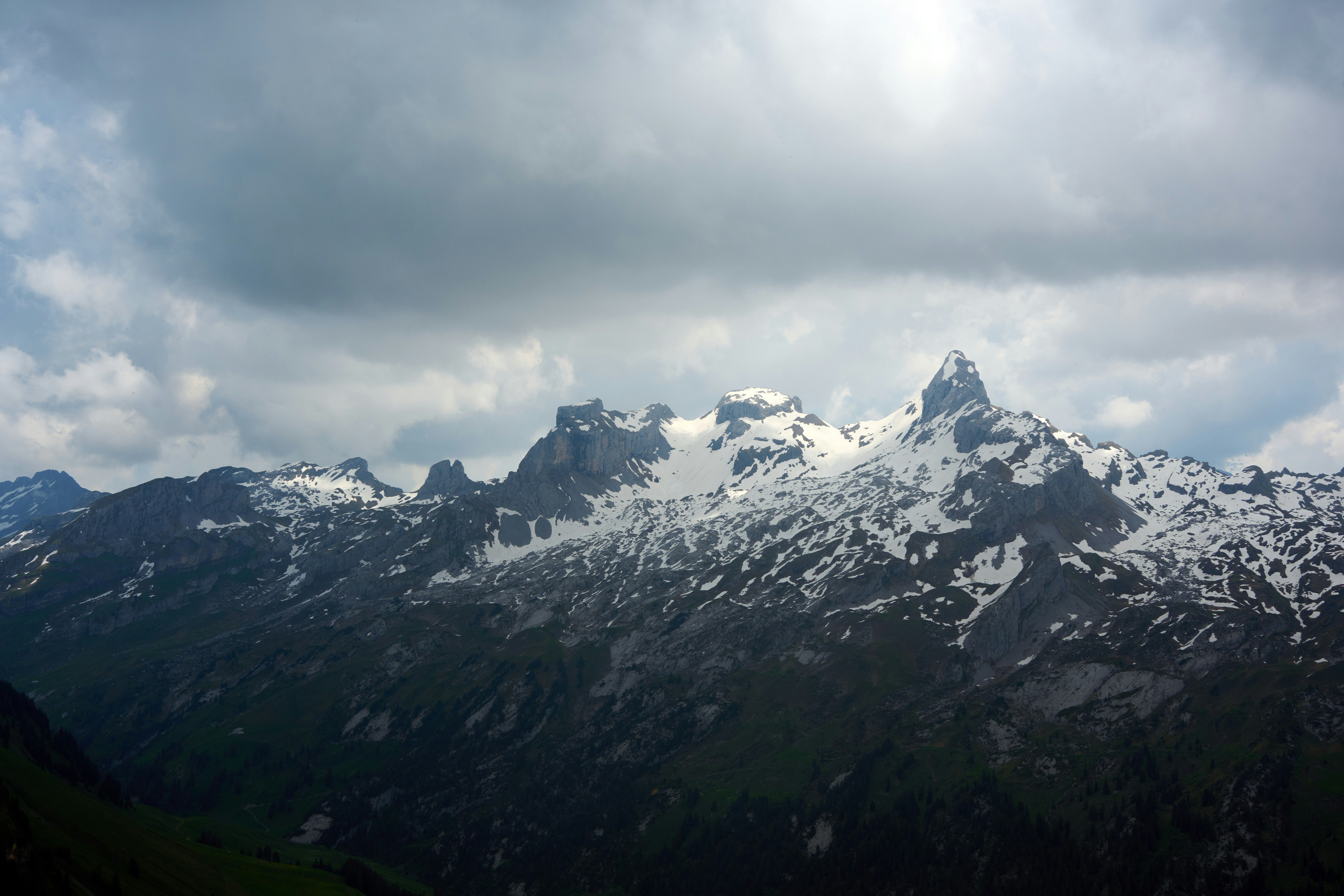 Photo by wolfgang_hasselmann