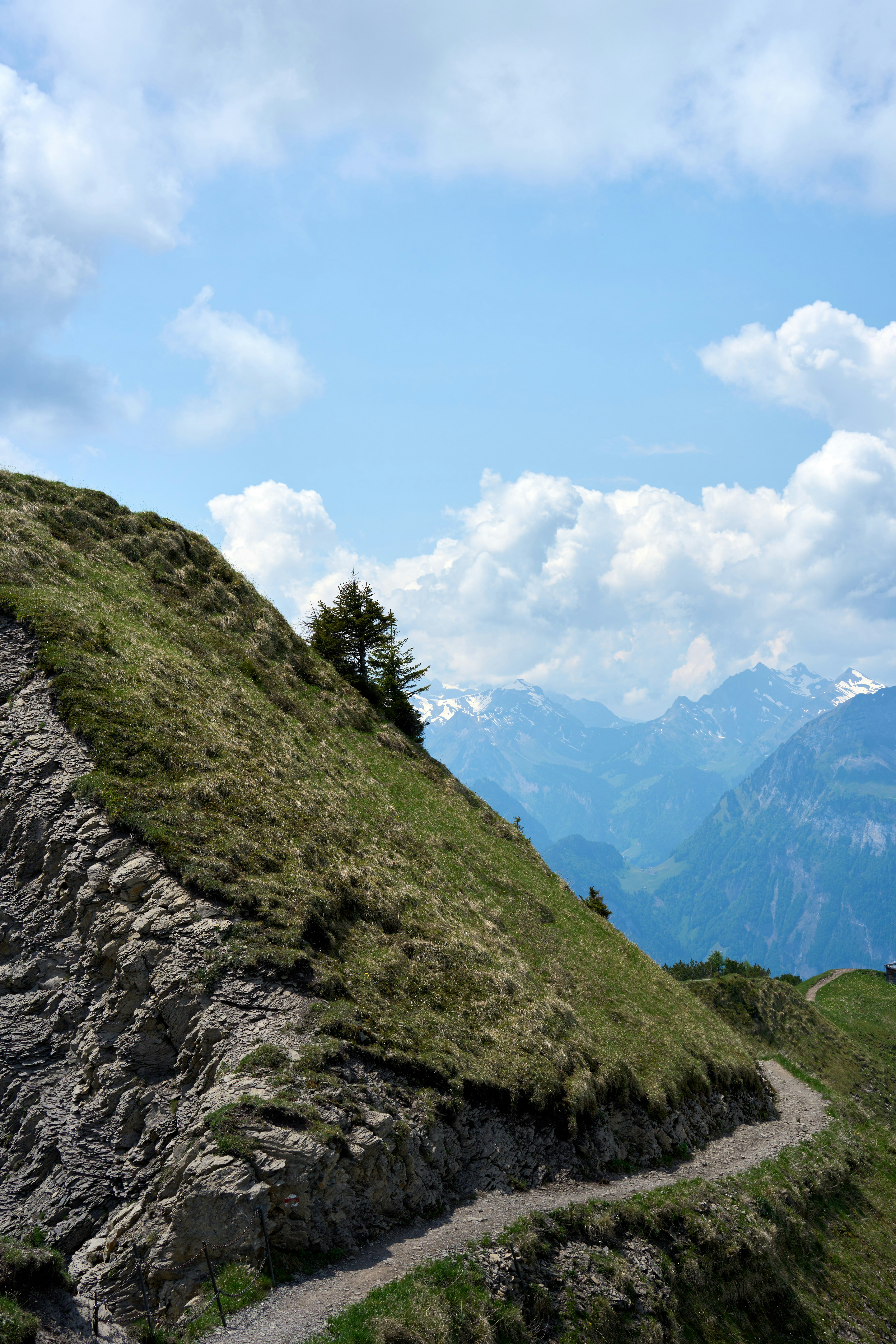 Photo by wolfgang_hasselmann