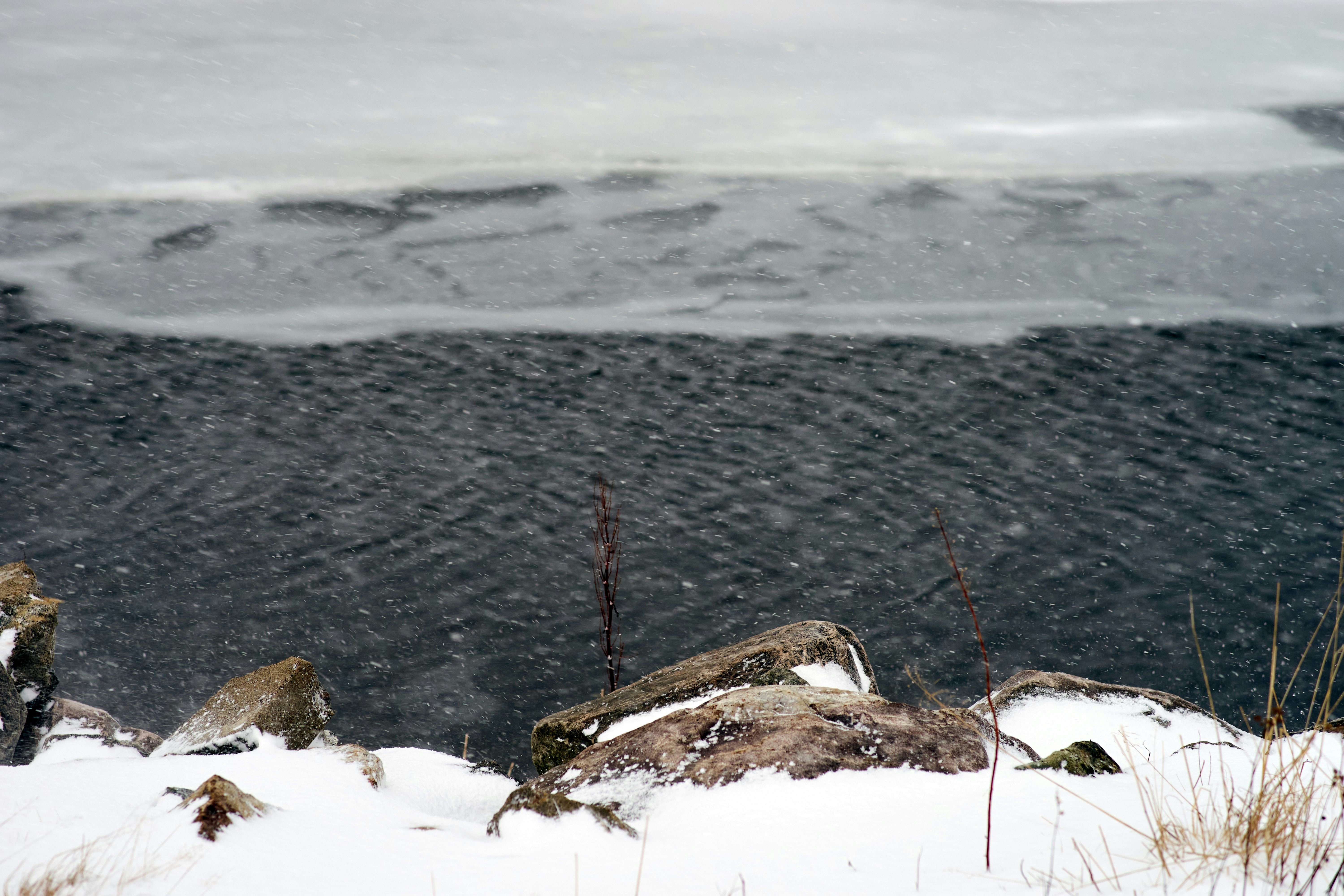 Photo by wolfgang_hasselmann