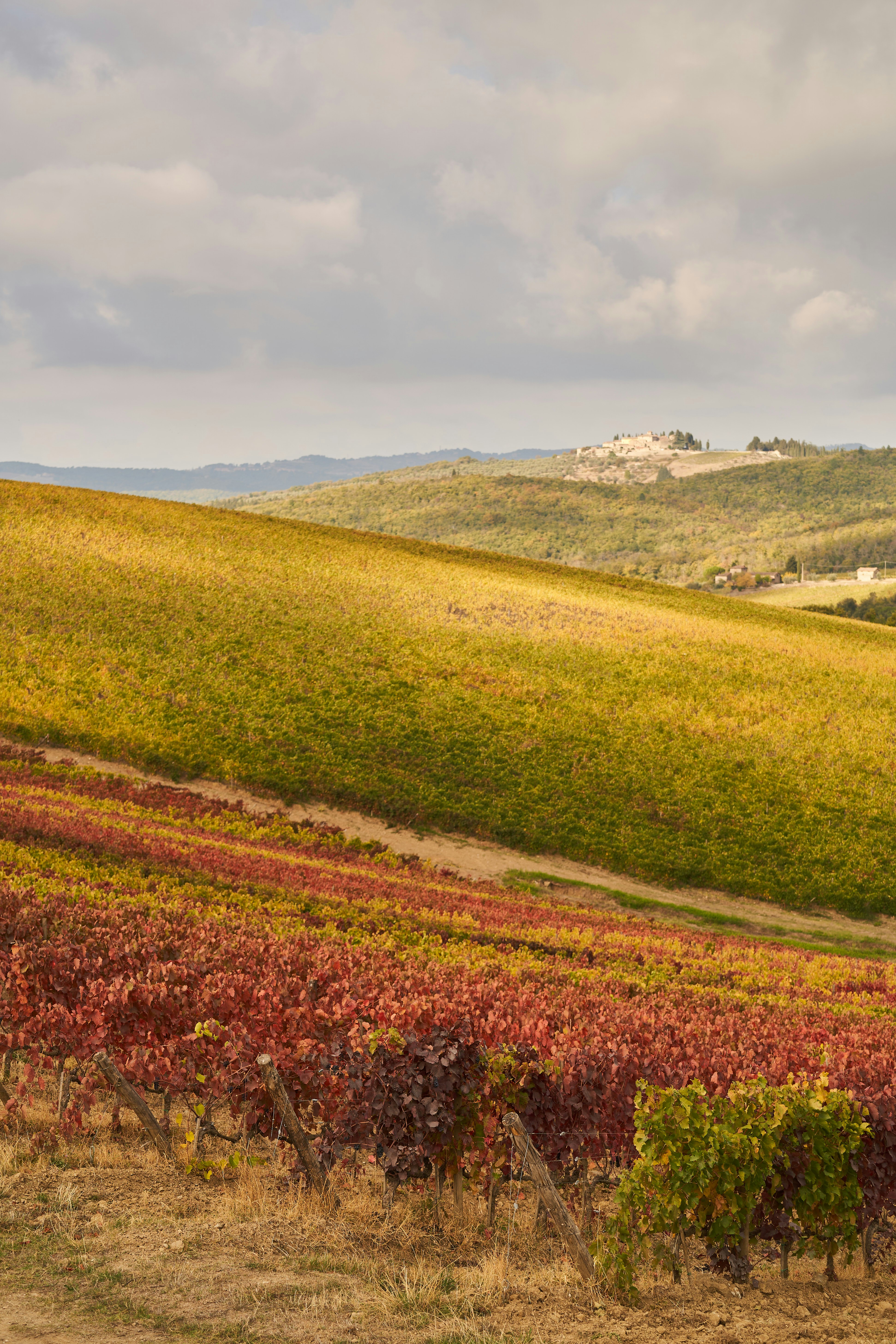 Photo by wolfgang_hasselmann