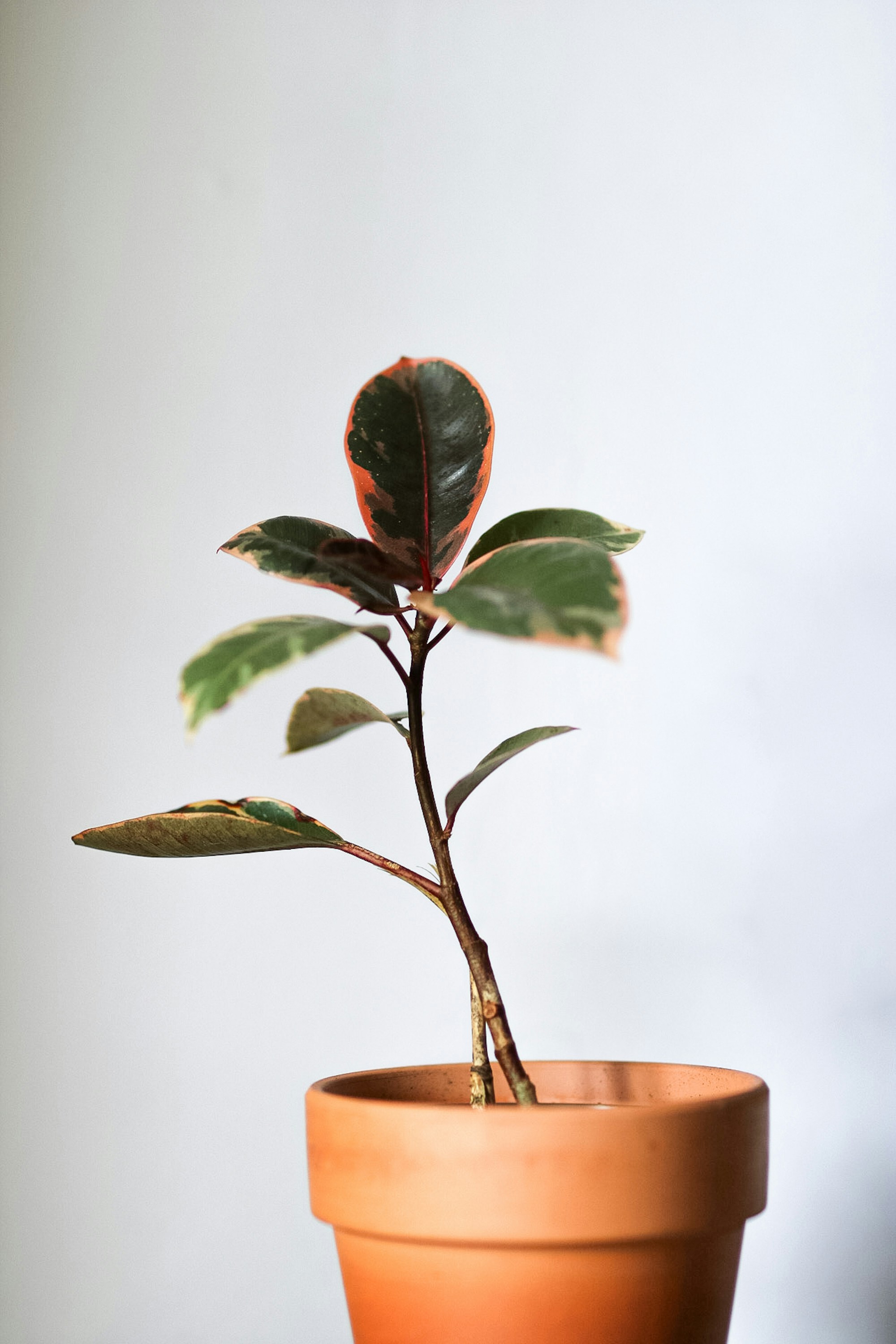 Photo by ashleycanaday