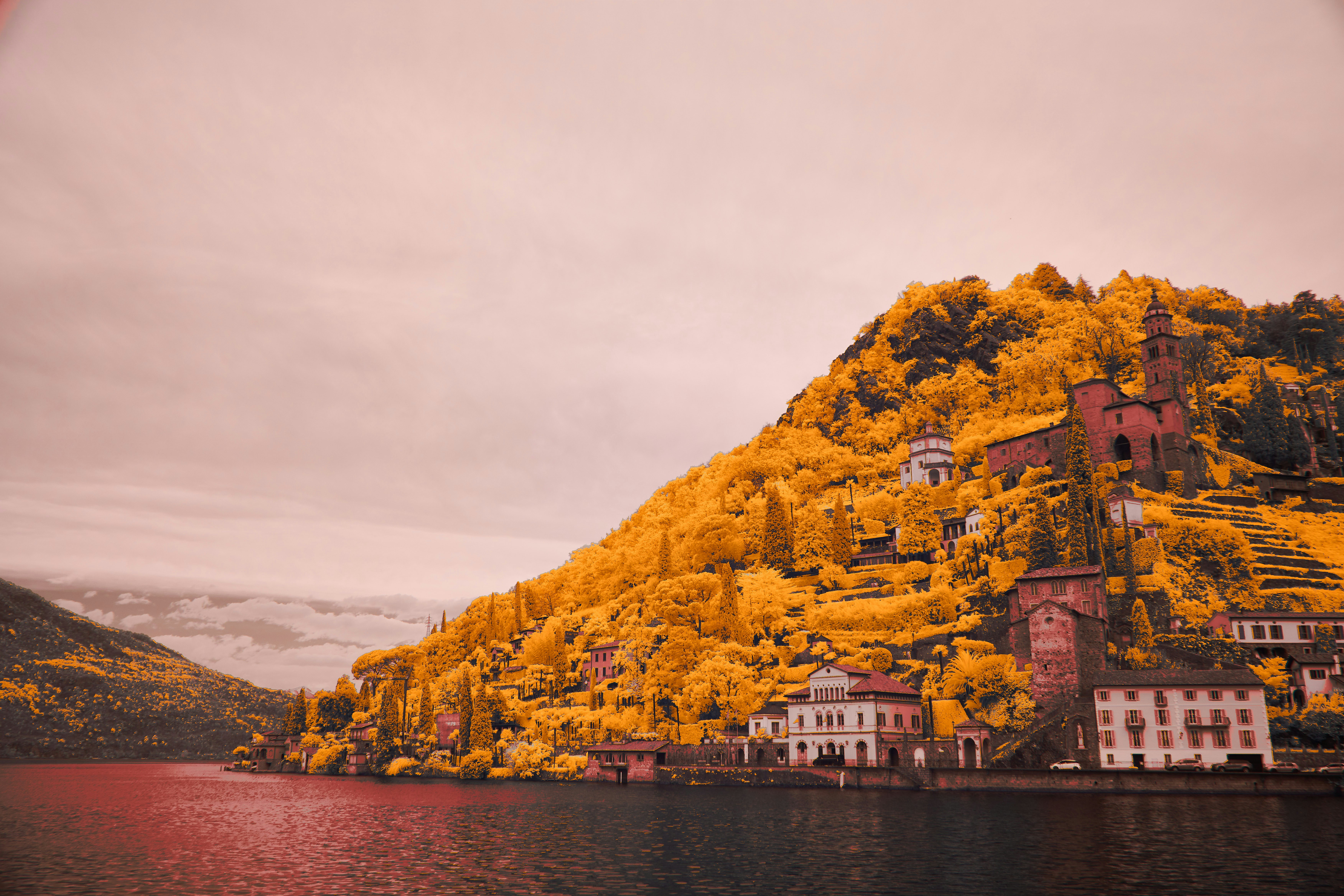 Photo by wolfgang_hasselmann