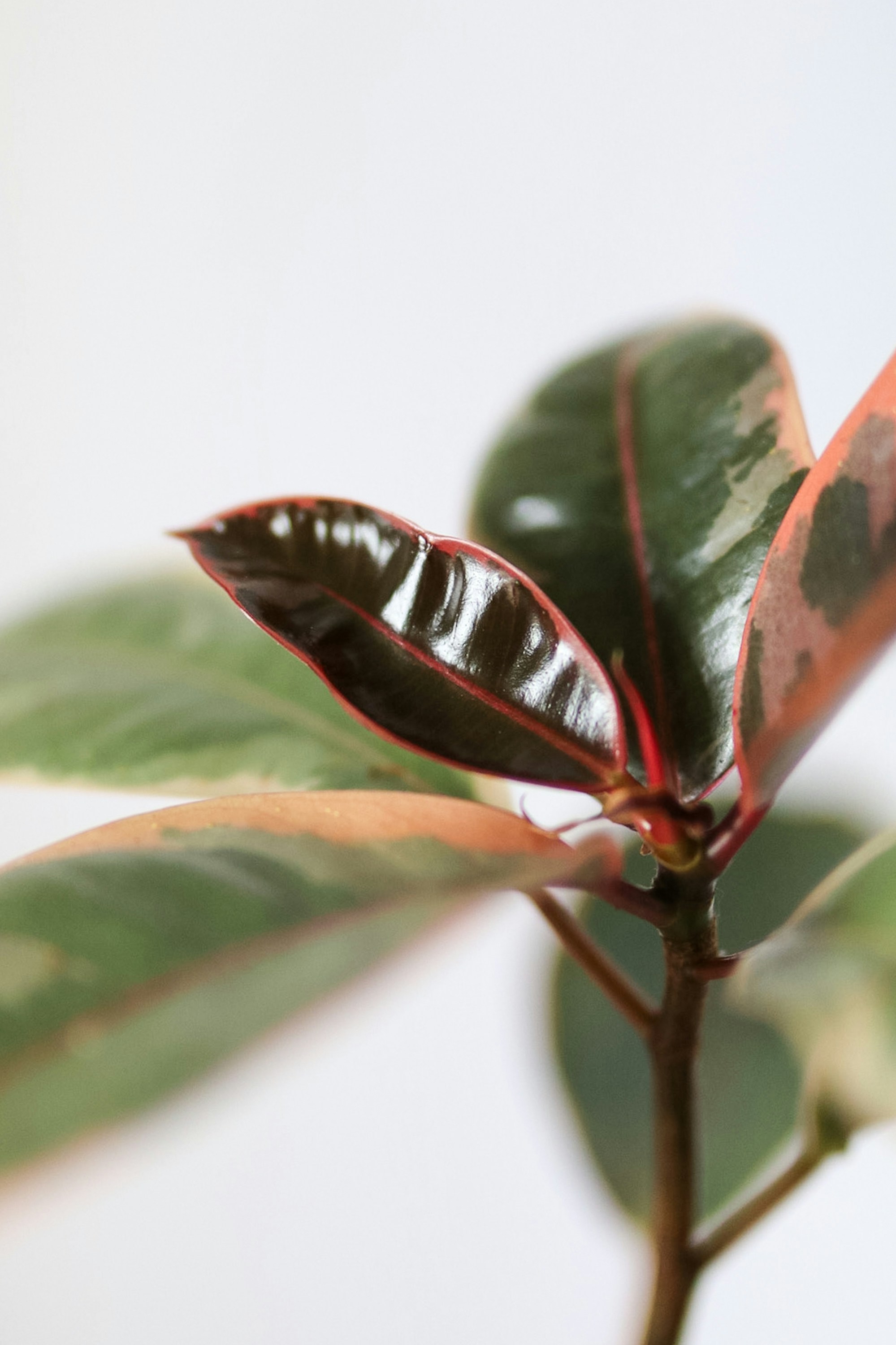 Photo by ashleycanaday