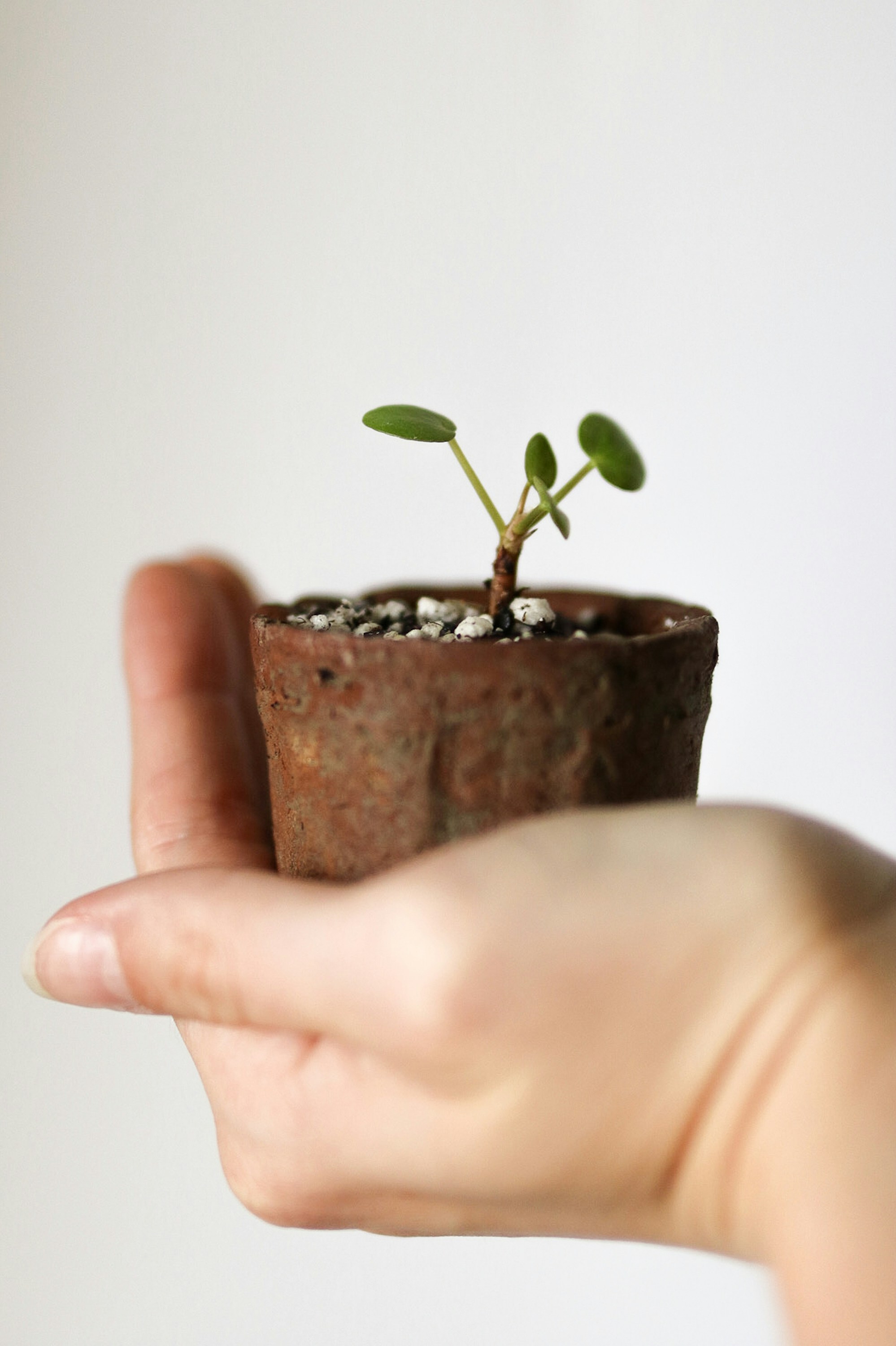 Photo by ashleycanaday