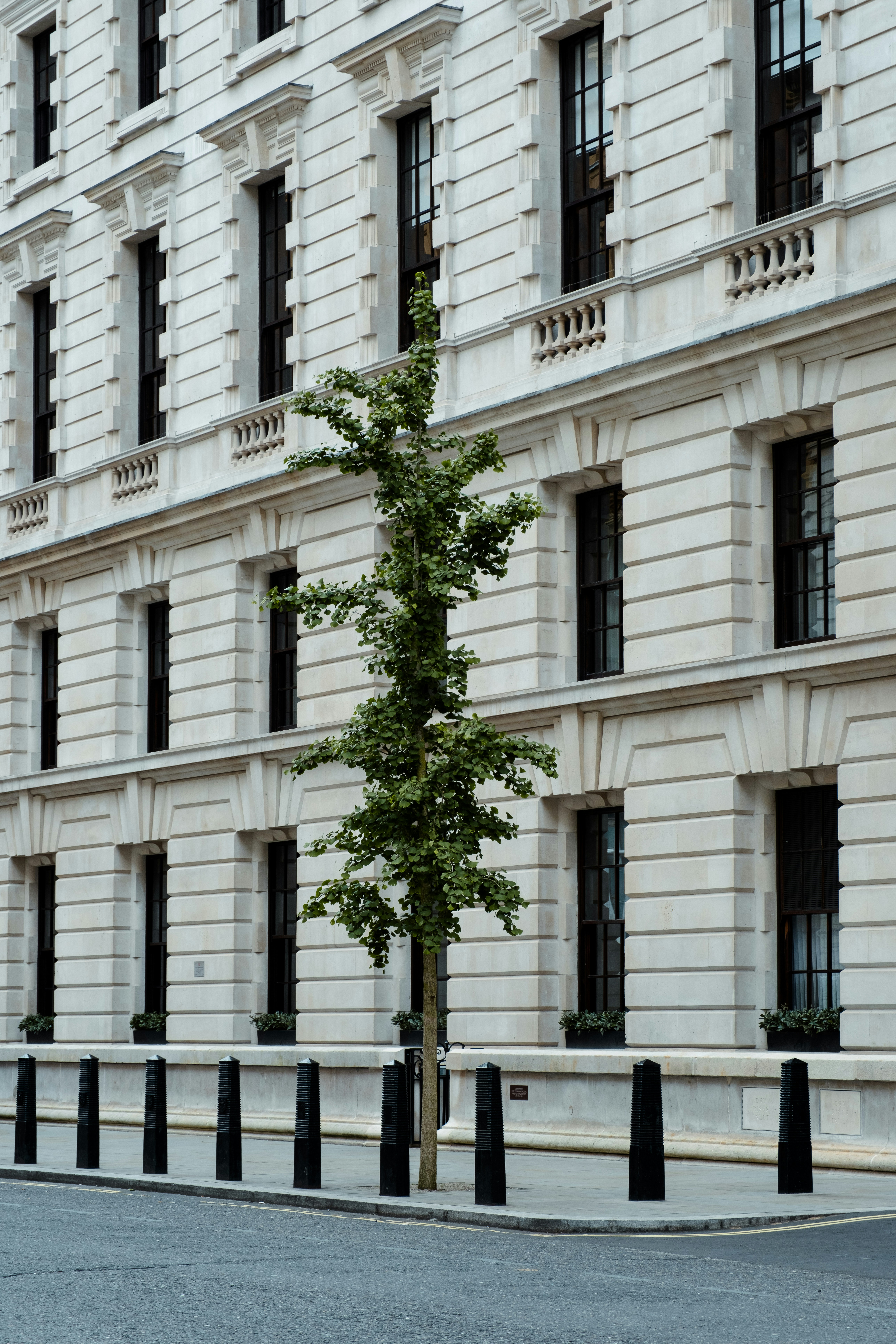 Photo by philipp_dice