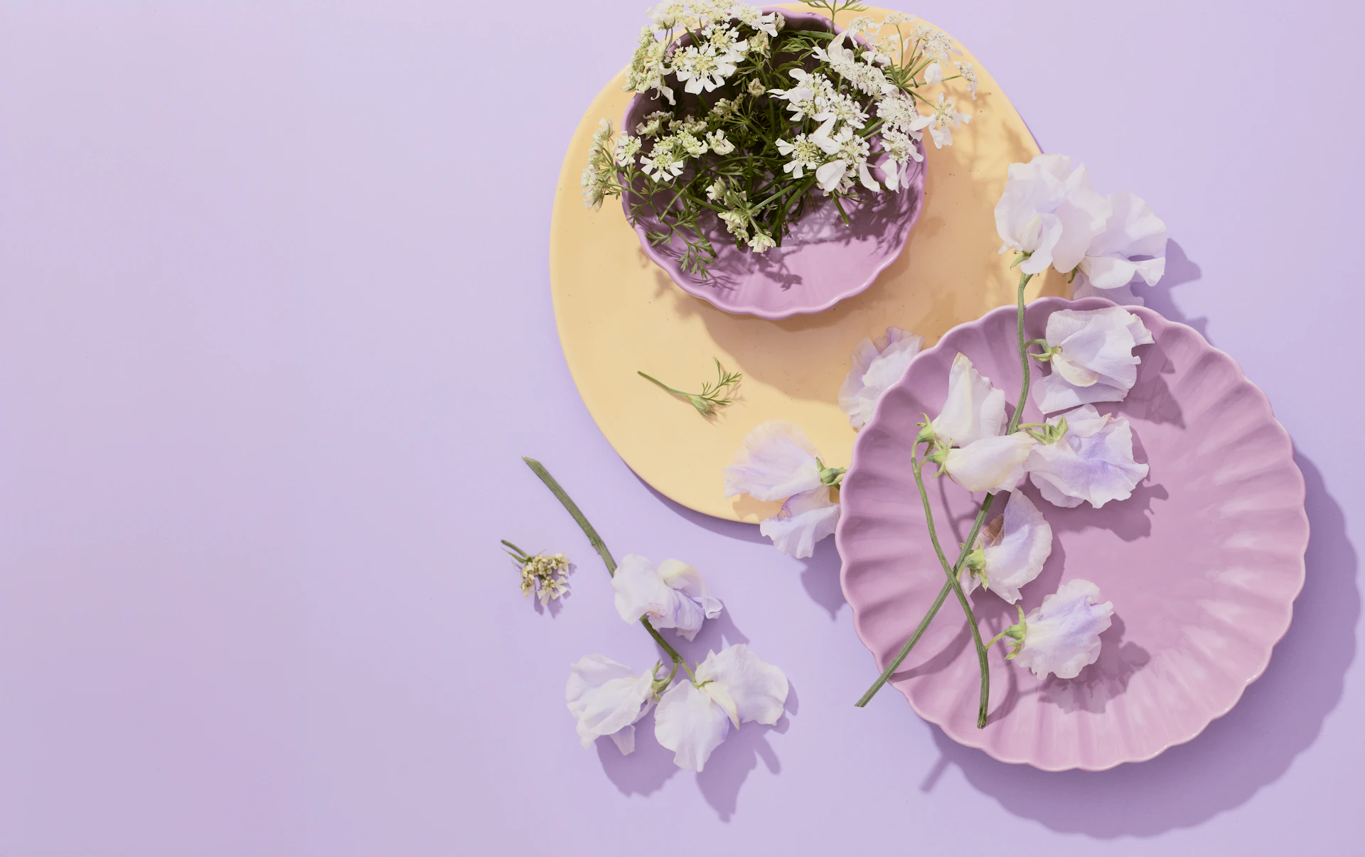 two plates with flowers on them on a purple surface