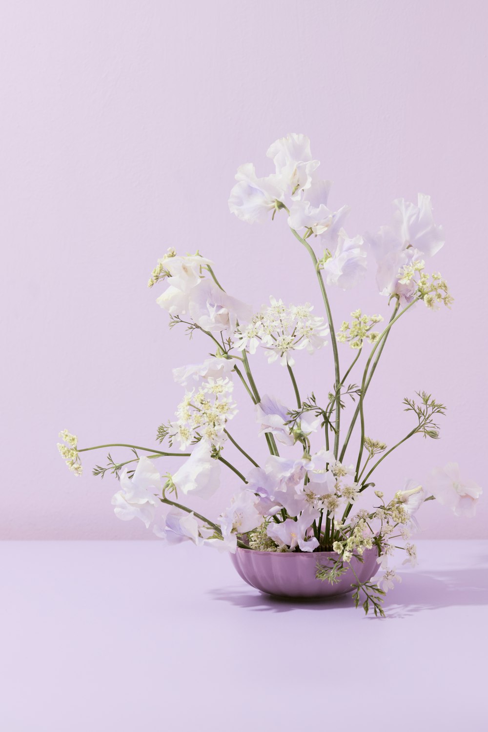 un cuenco morado lleno de flores blancas encima de una mesa
