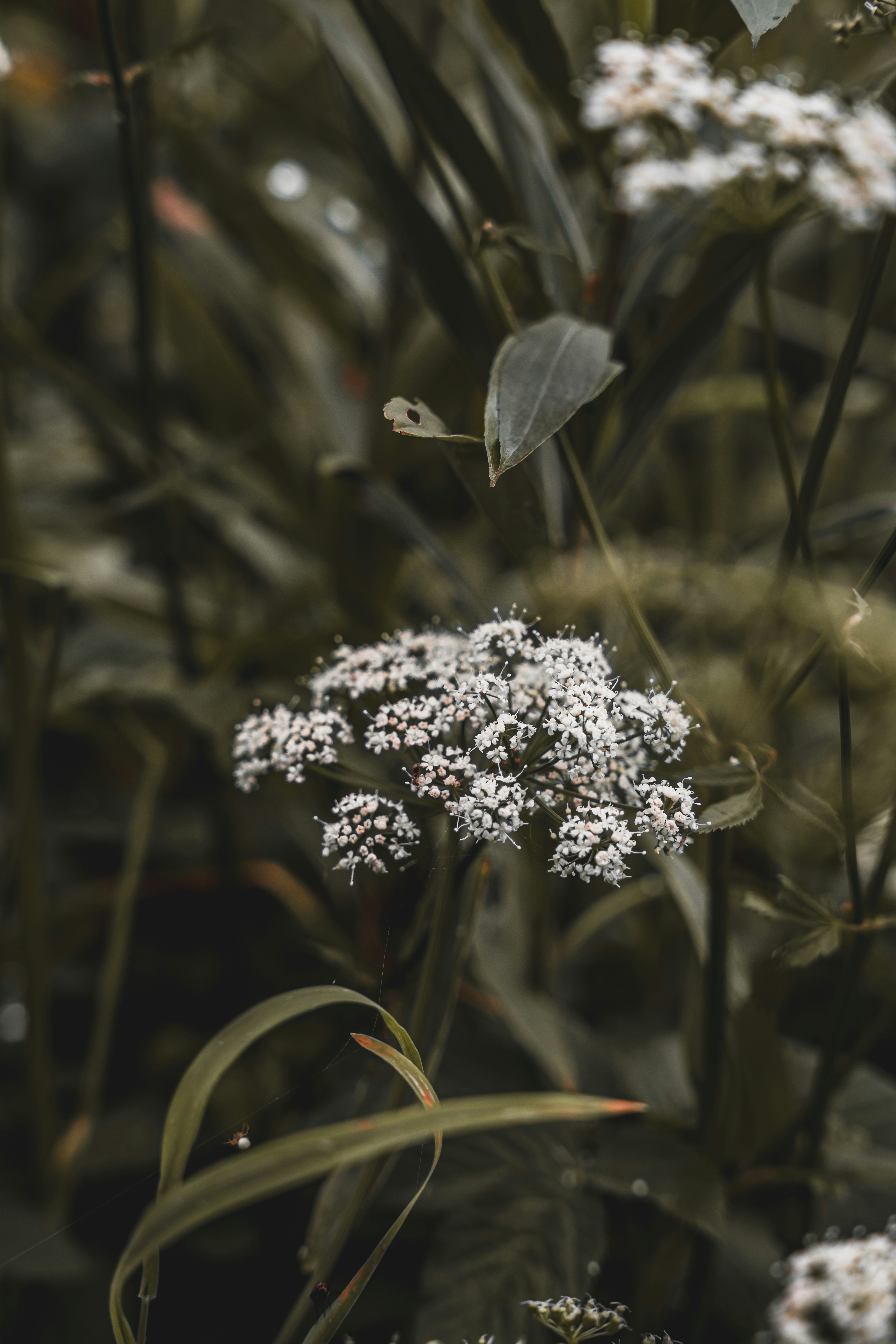 Photo by wojtekpaczes