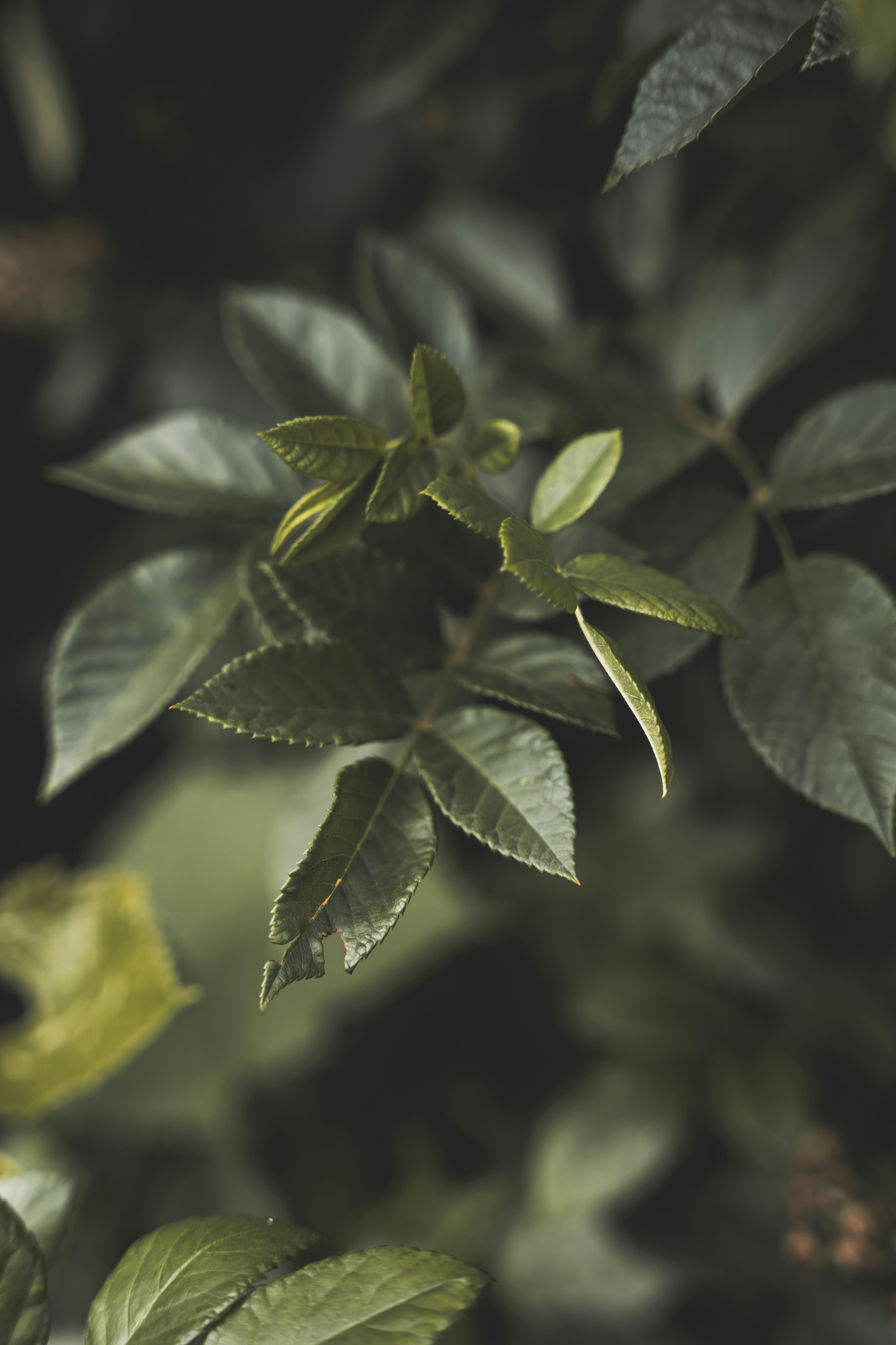 Photo by wojtekpaczes