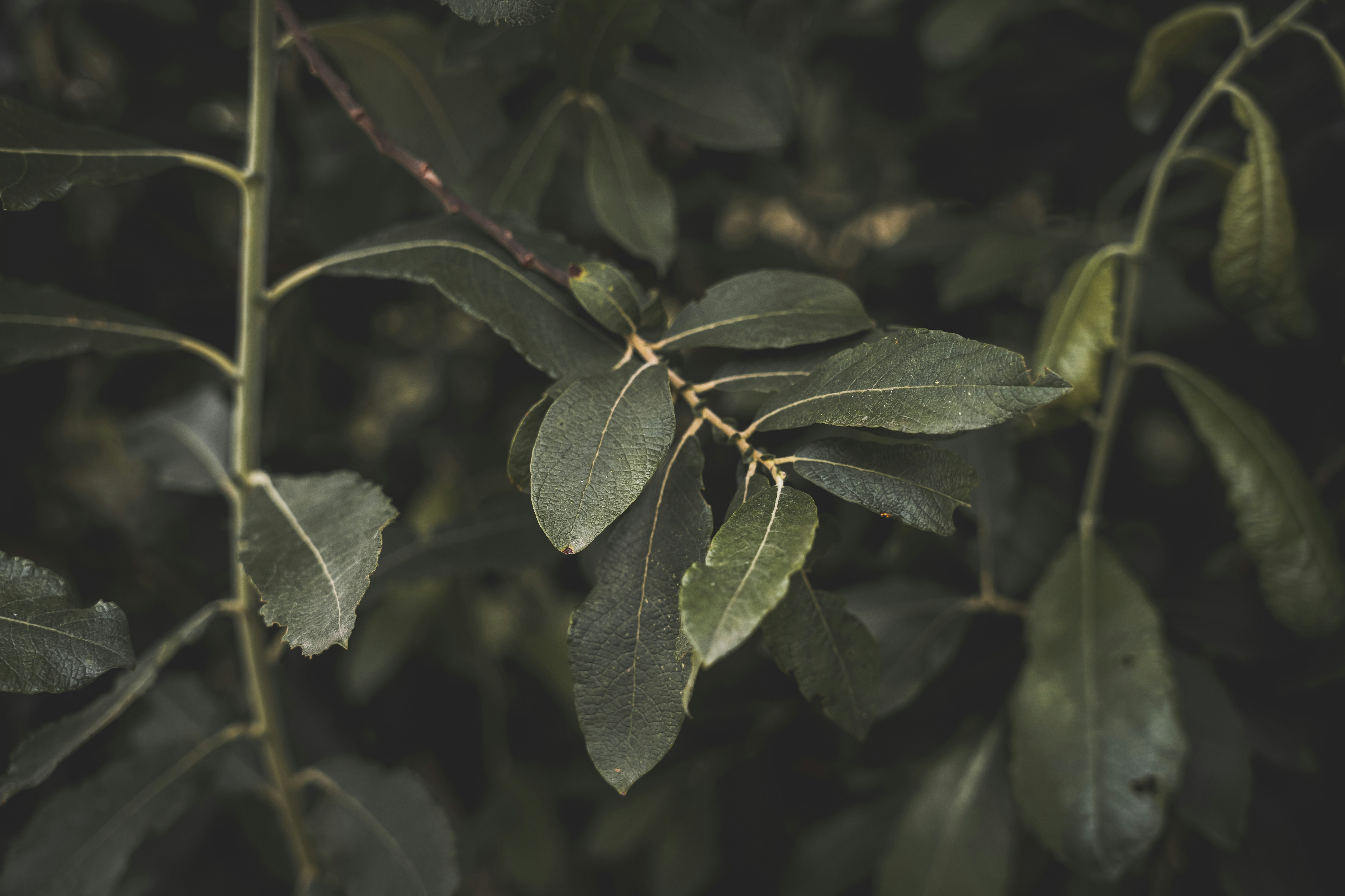 Photo by wojtekpaczes