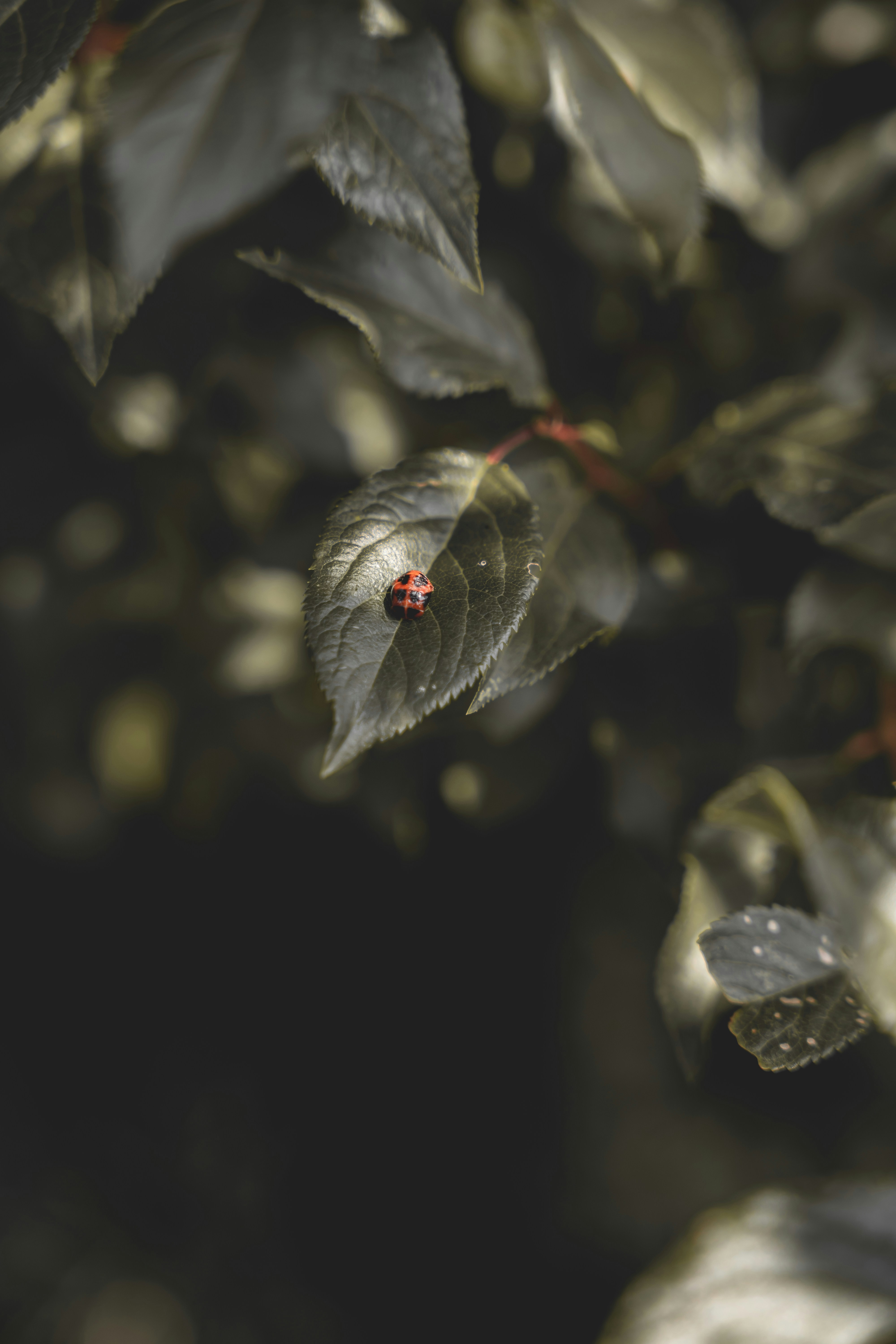 Photo by wojtekpaczes