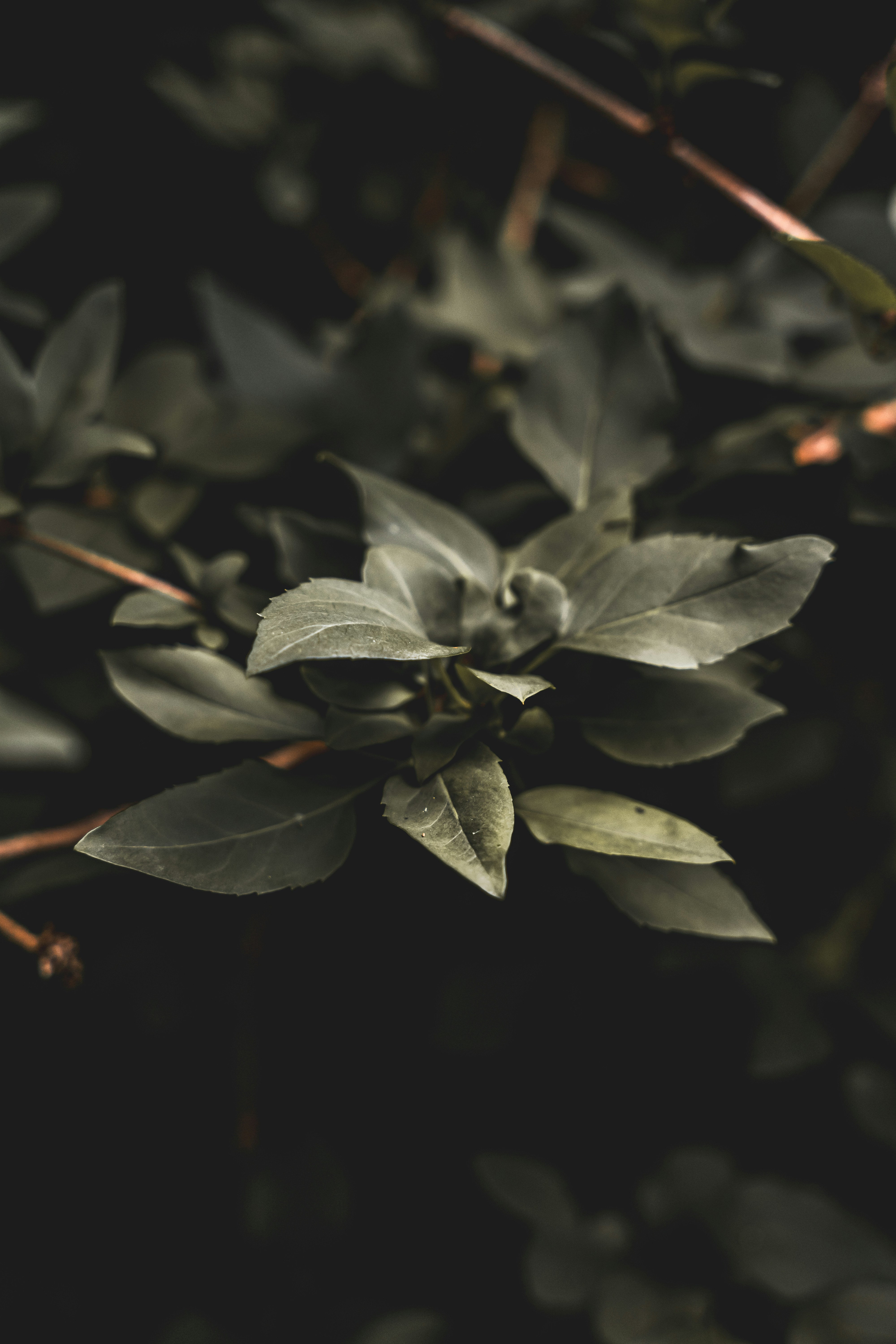 Photo by wojtekpaczes