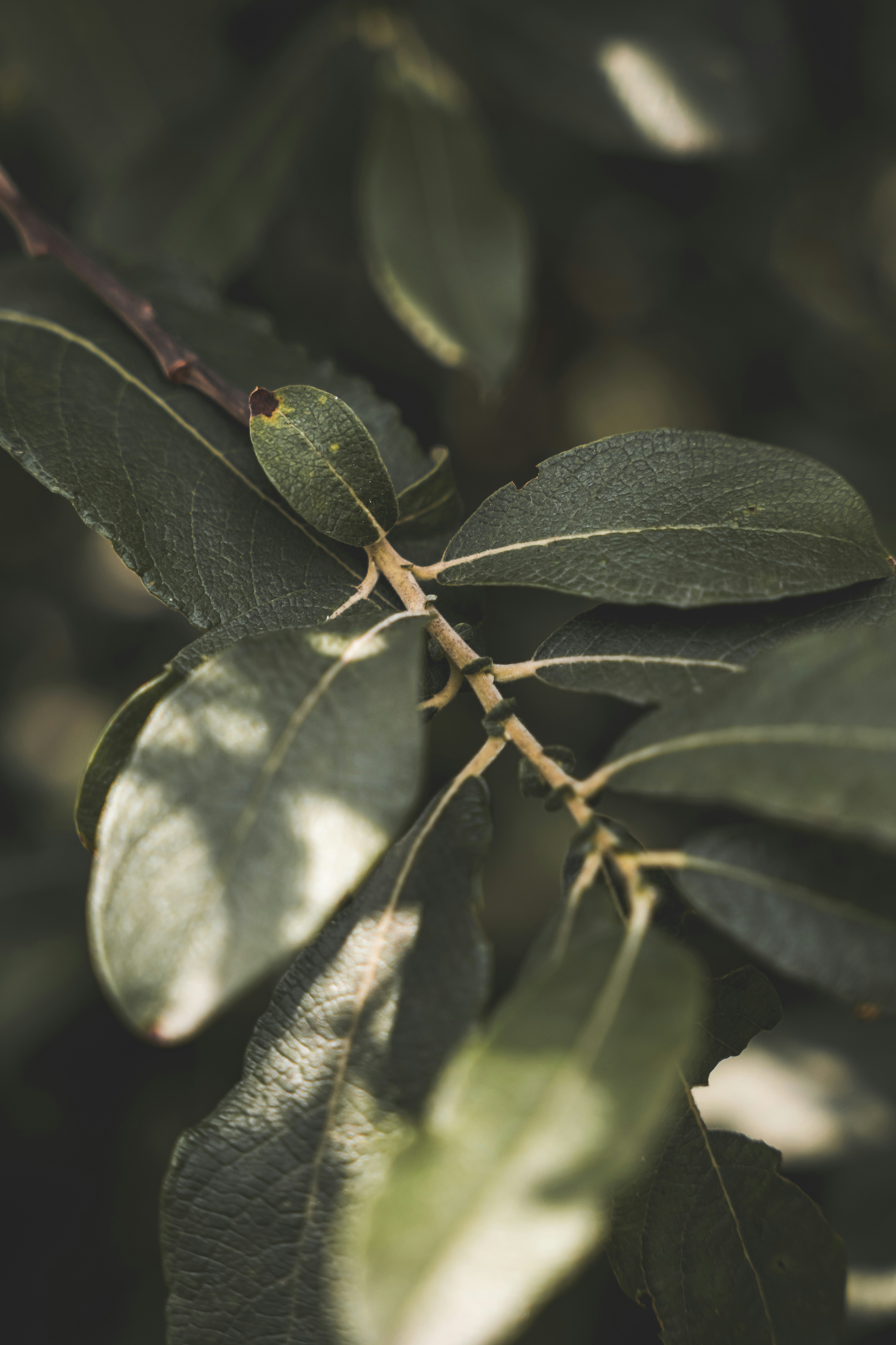 Photo by wojtekpaczes