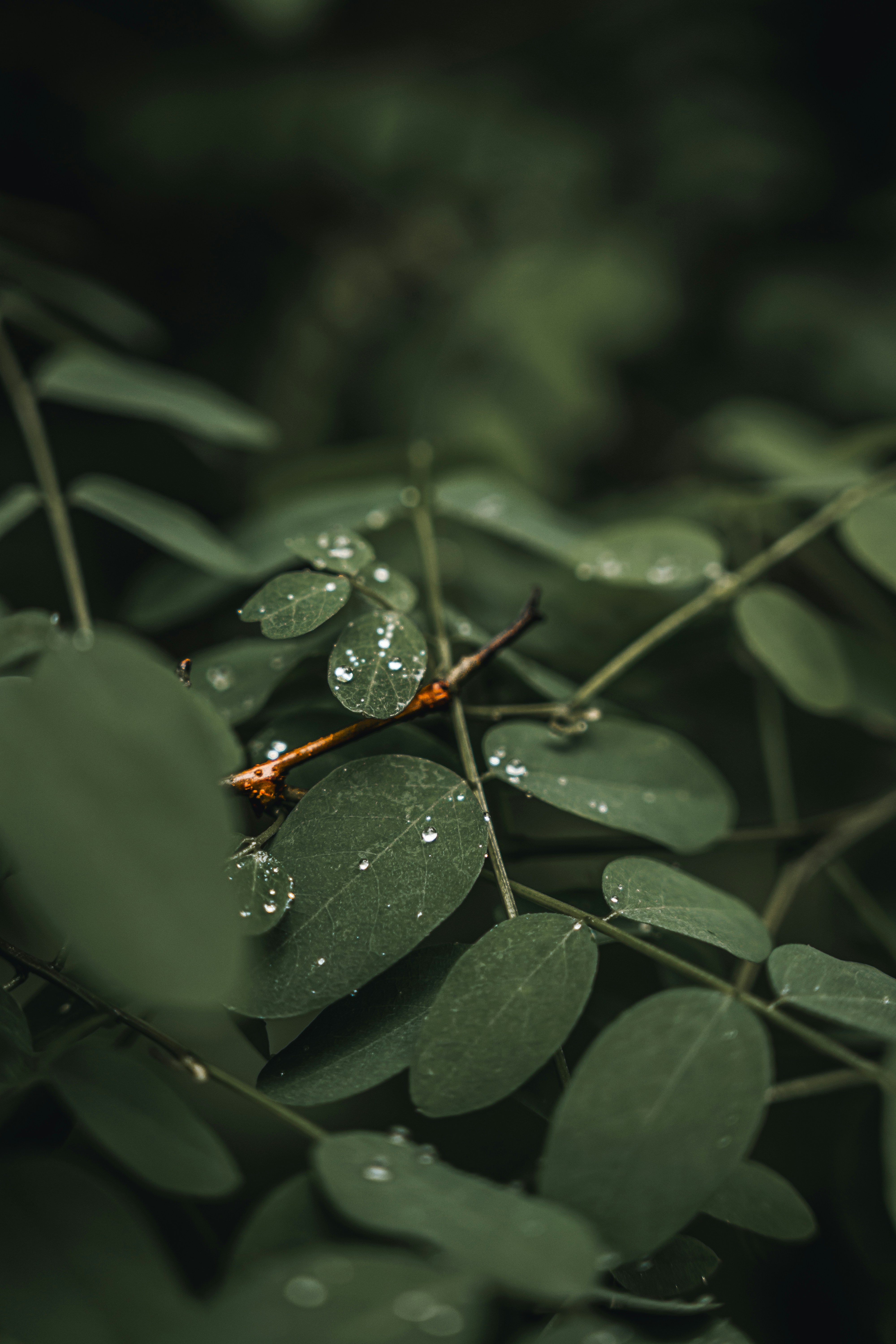 Photo by wojtekpaczes