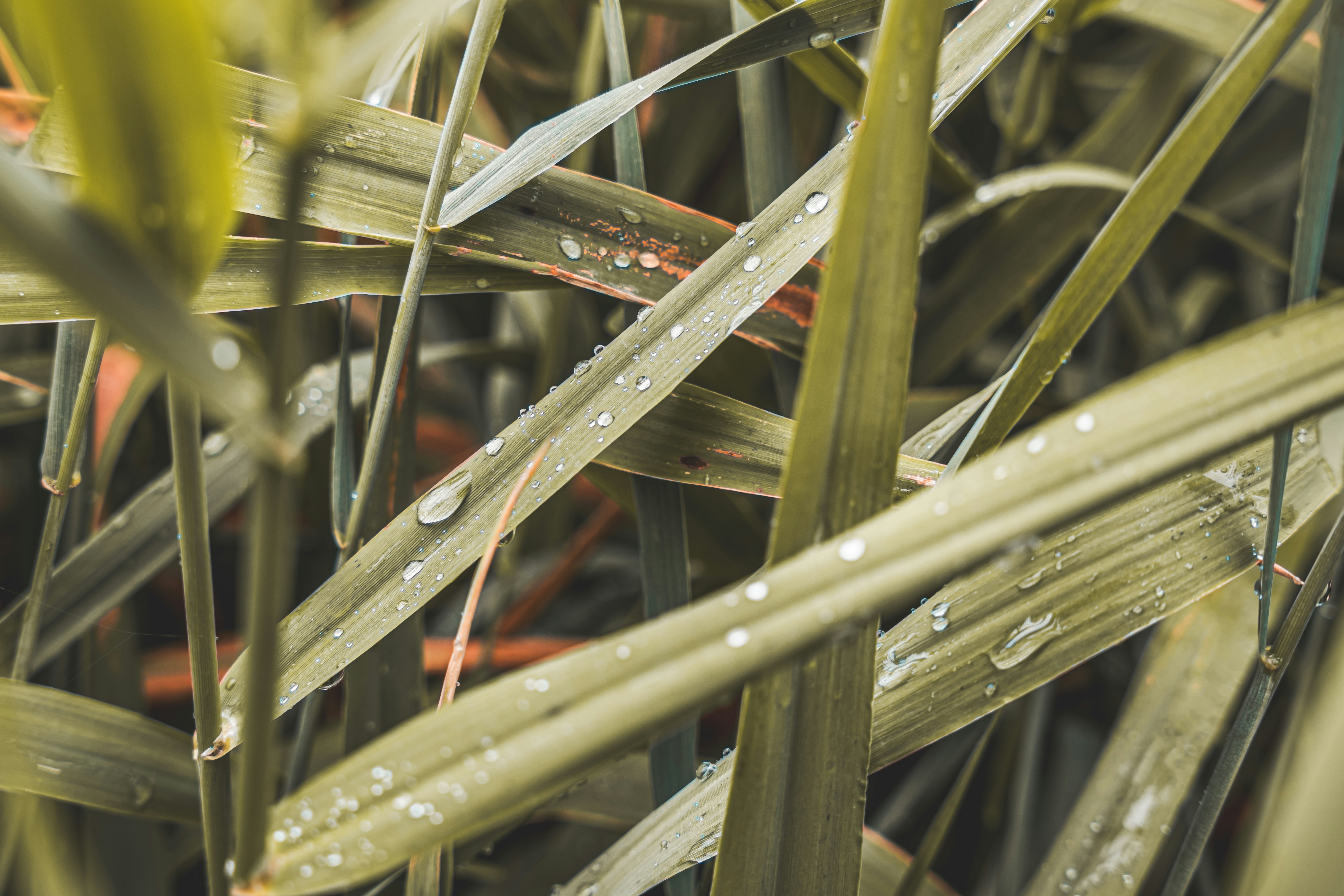 Photo by wojtekpaczes