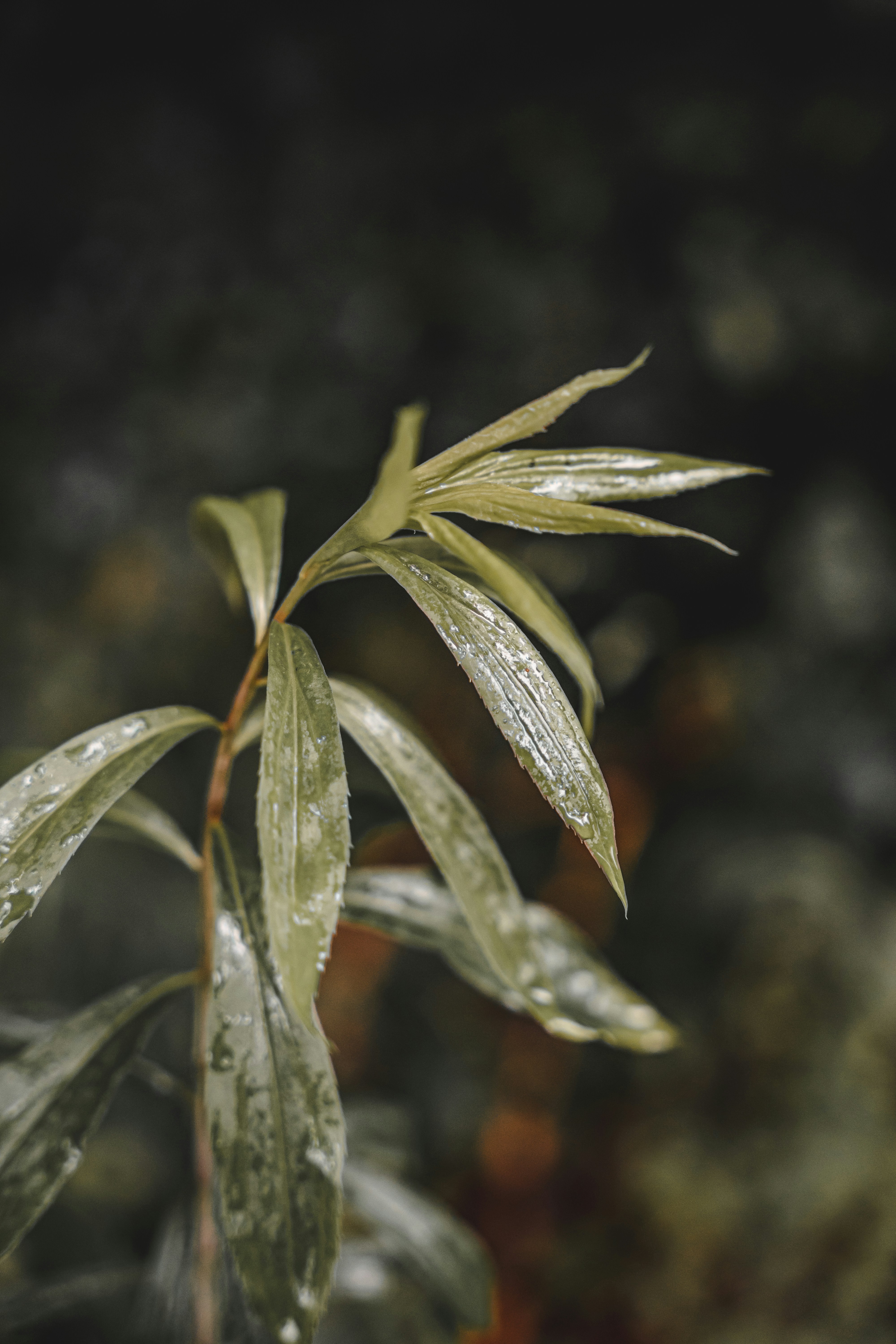 Photo by wojtekpaczes