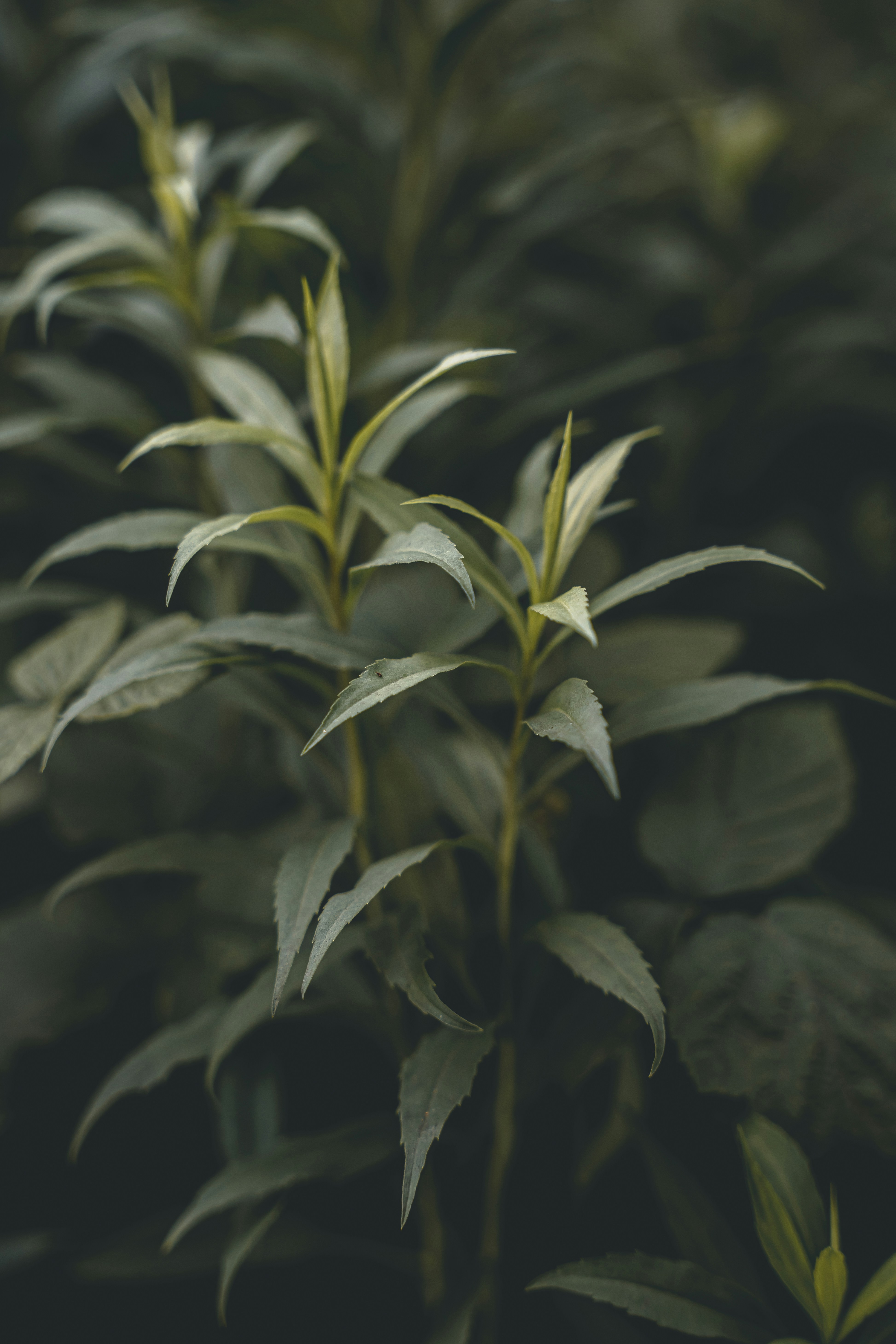 Photo by wojtekpaczes