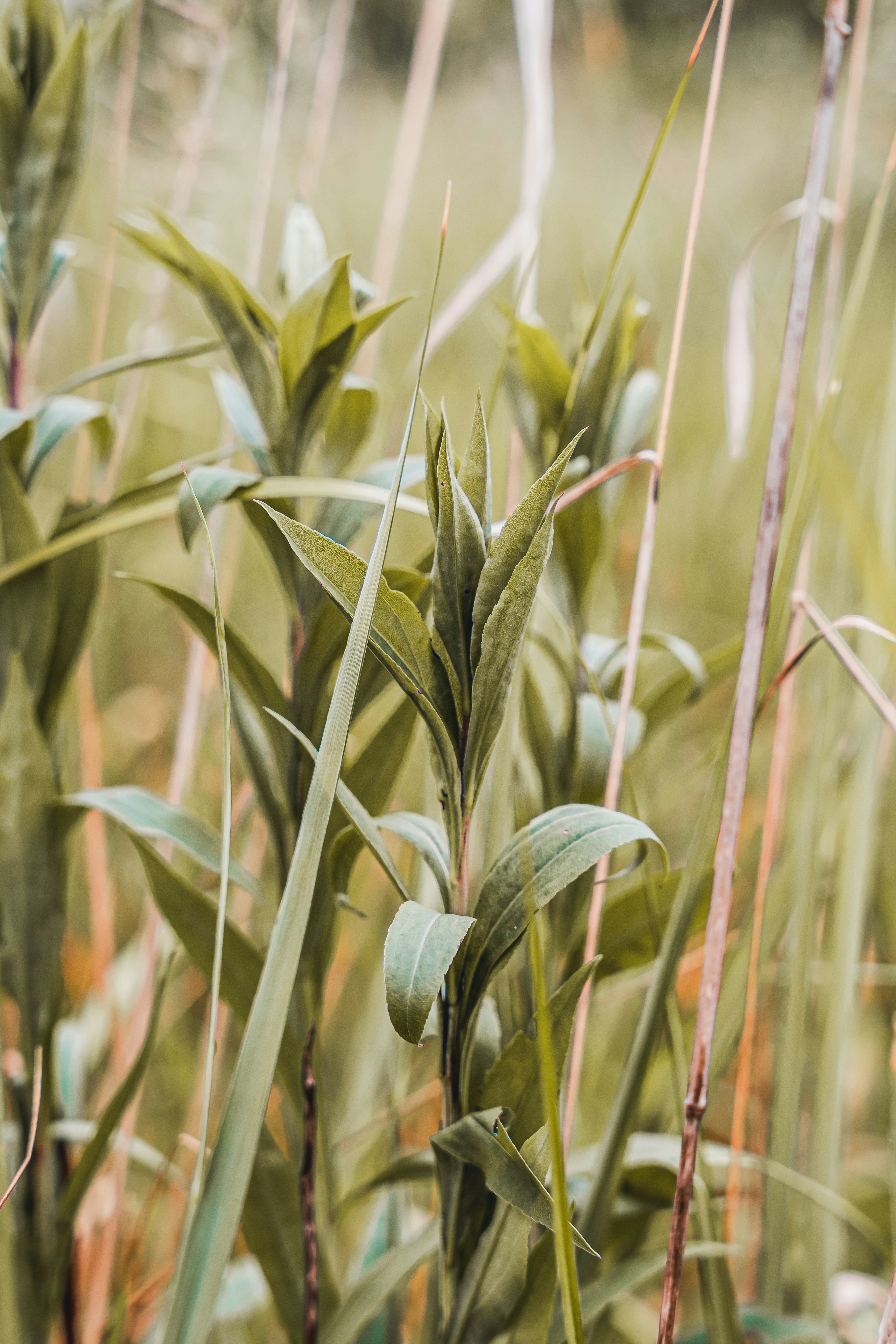 Photo by wojtekpaczes