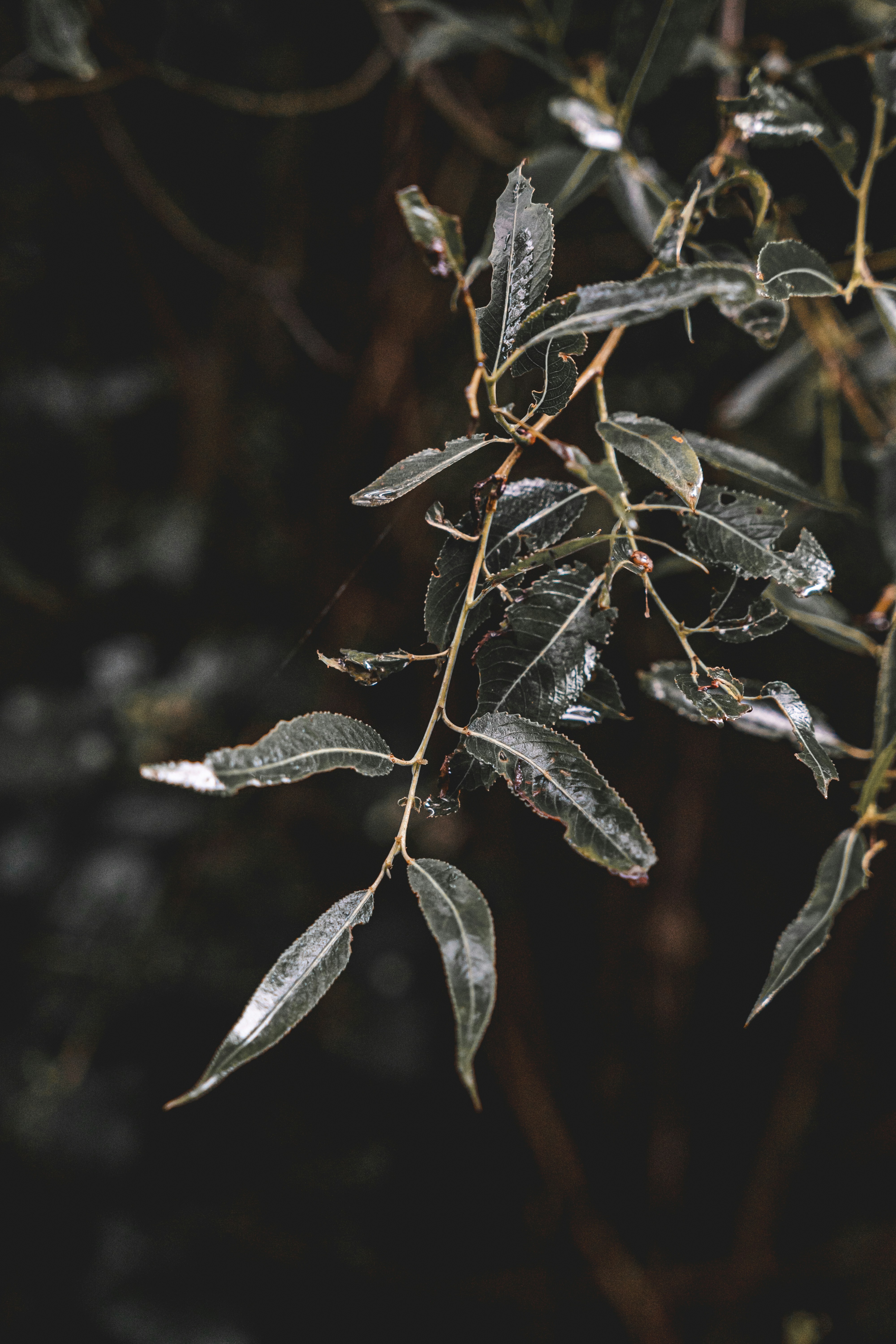 Photo by wojtekpaczes