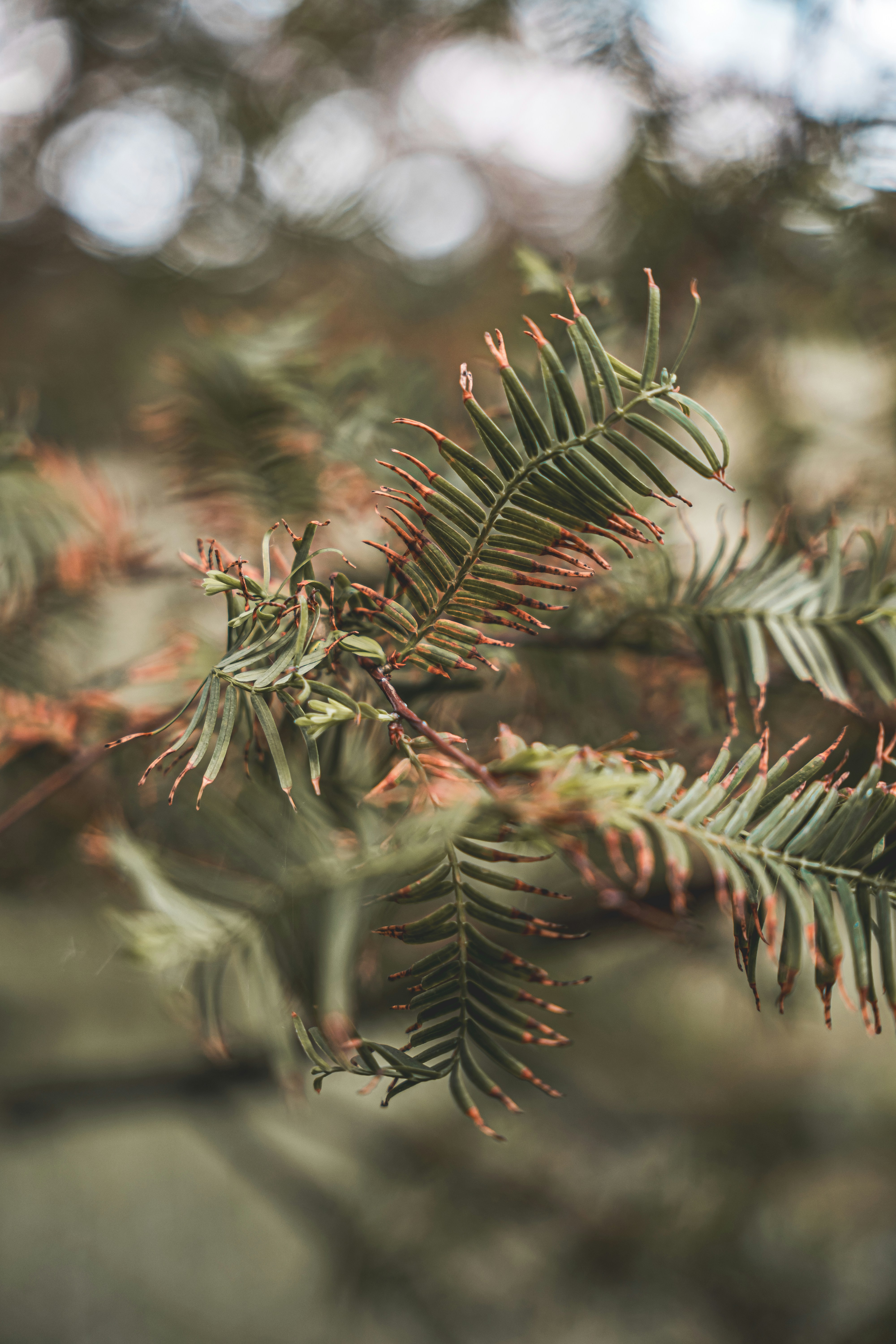 Photo by wojtekpaczes