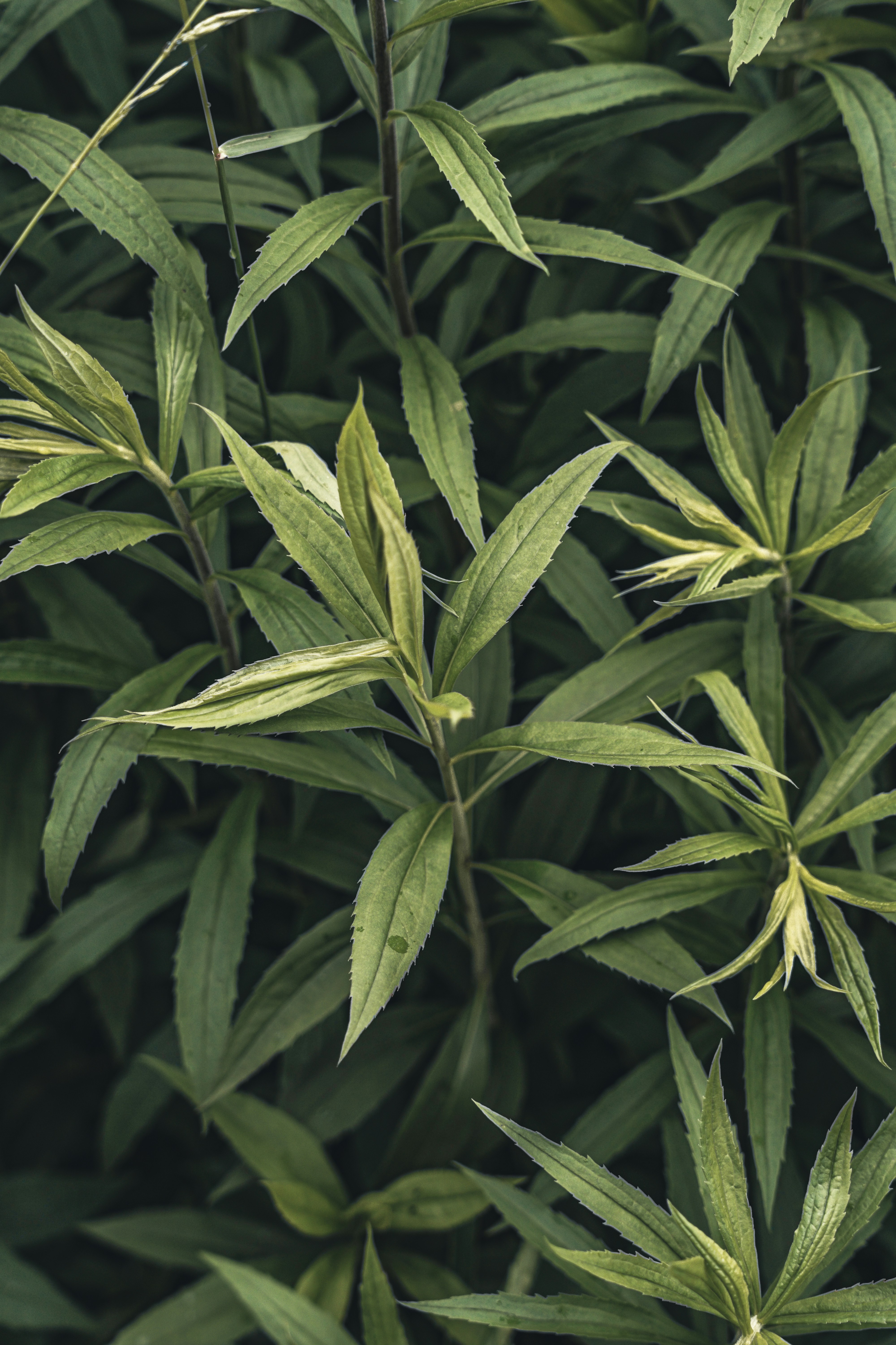 Photo by wojtekpaczes