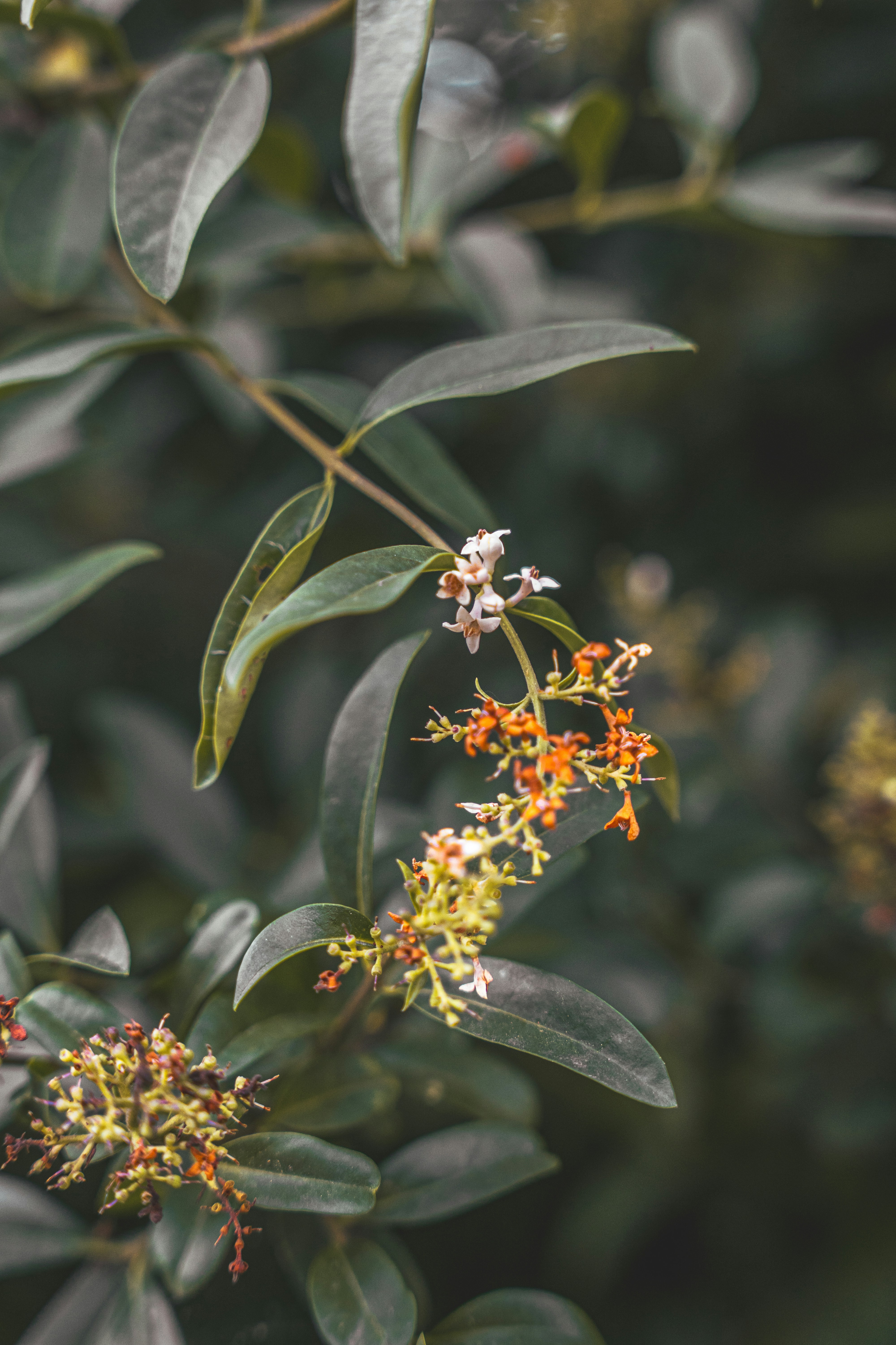 Photo by wojtekpaczes