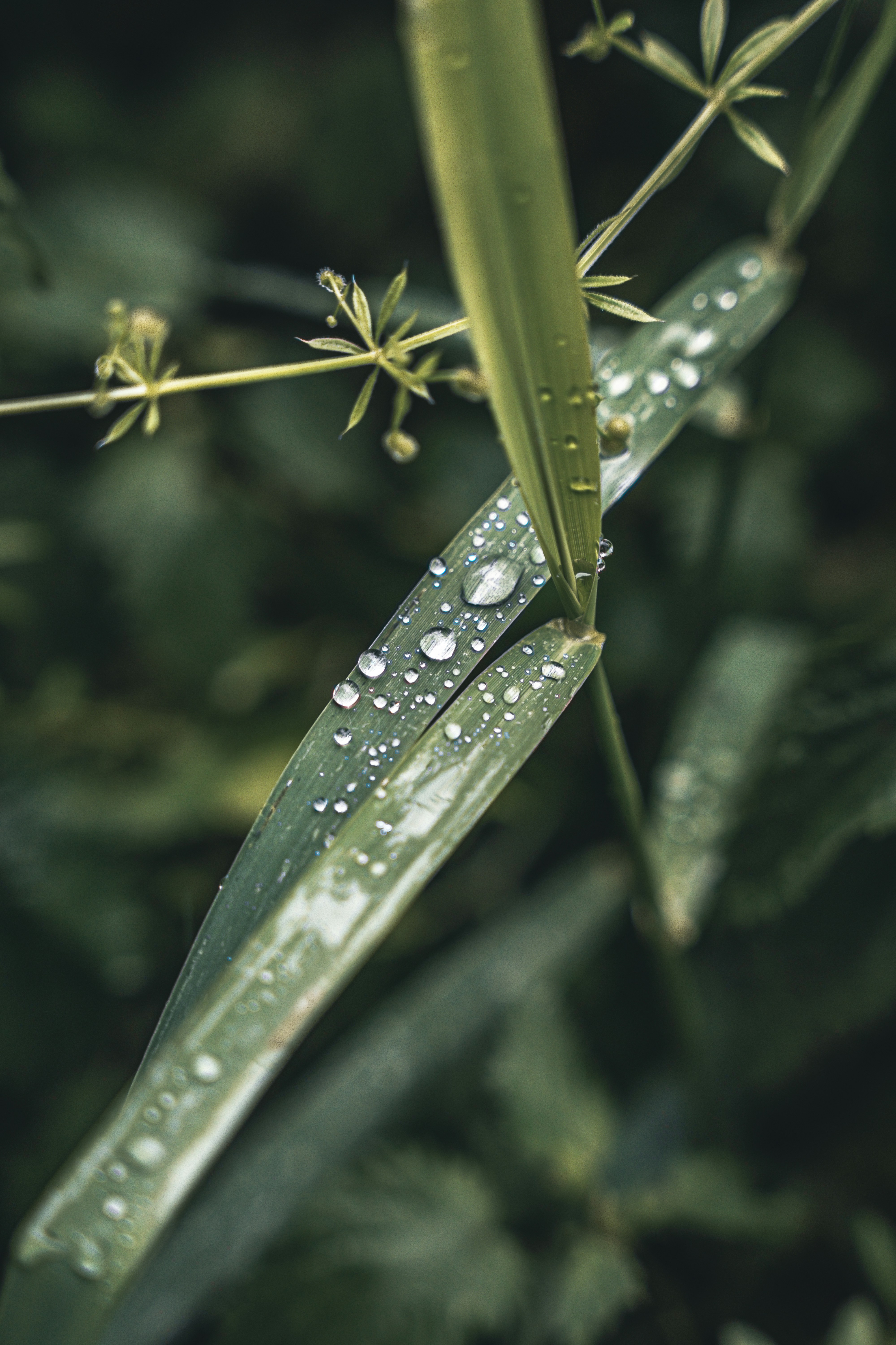 Photo by wojtekpaczes