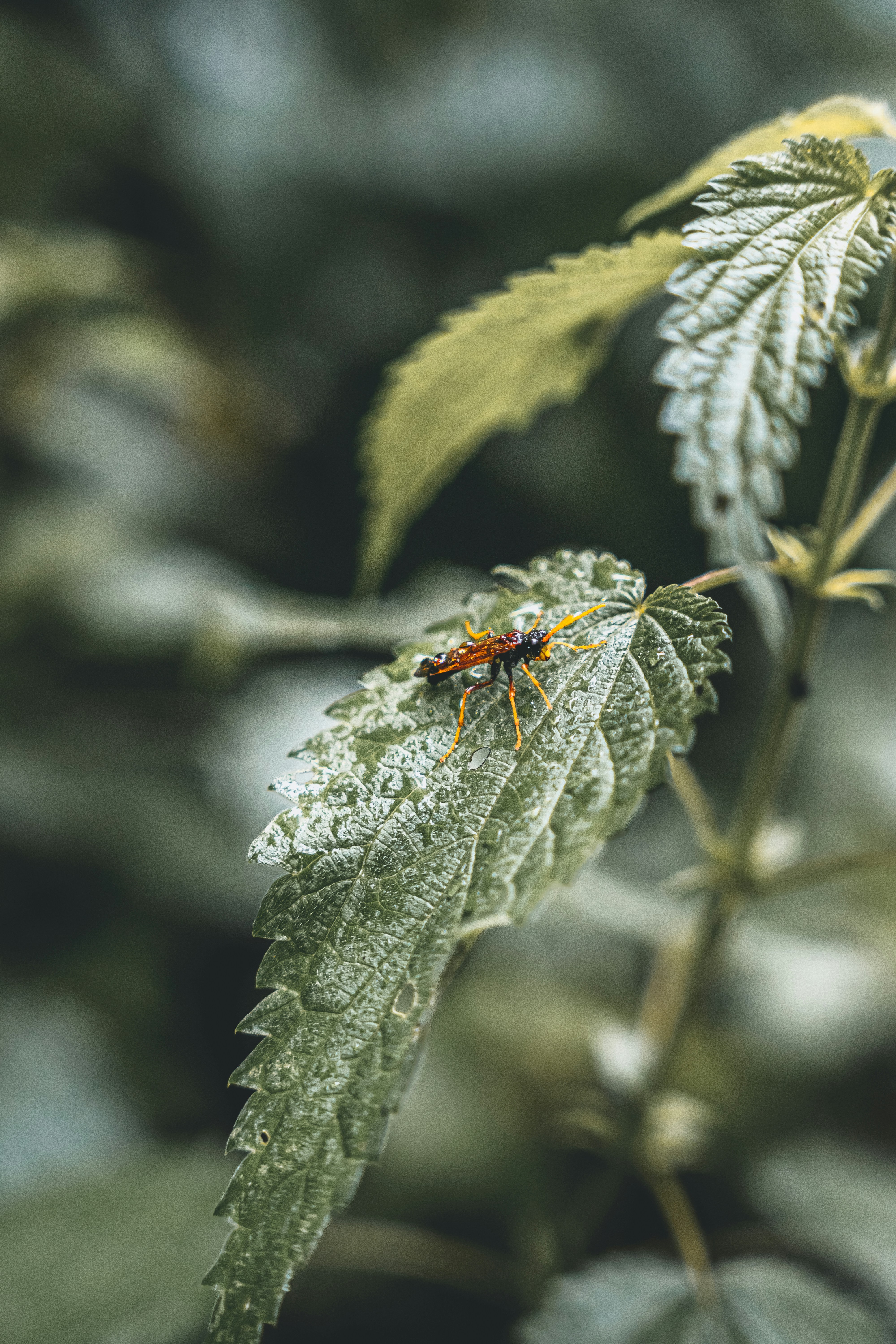 Photo by wojtekpaczes