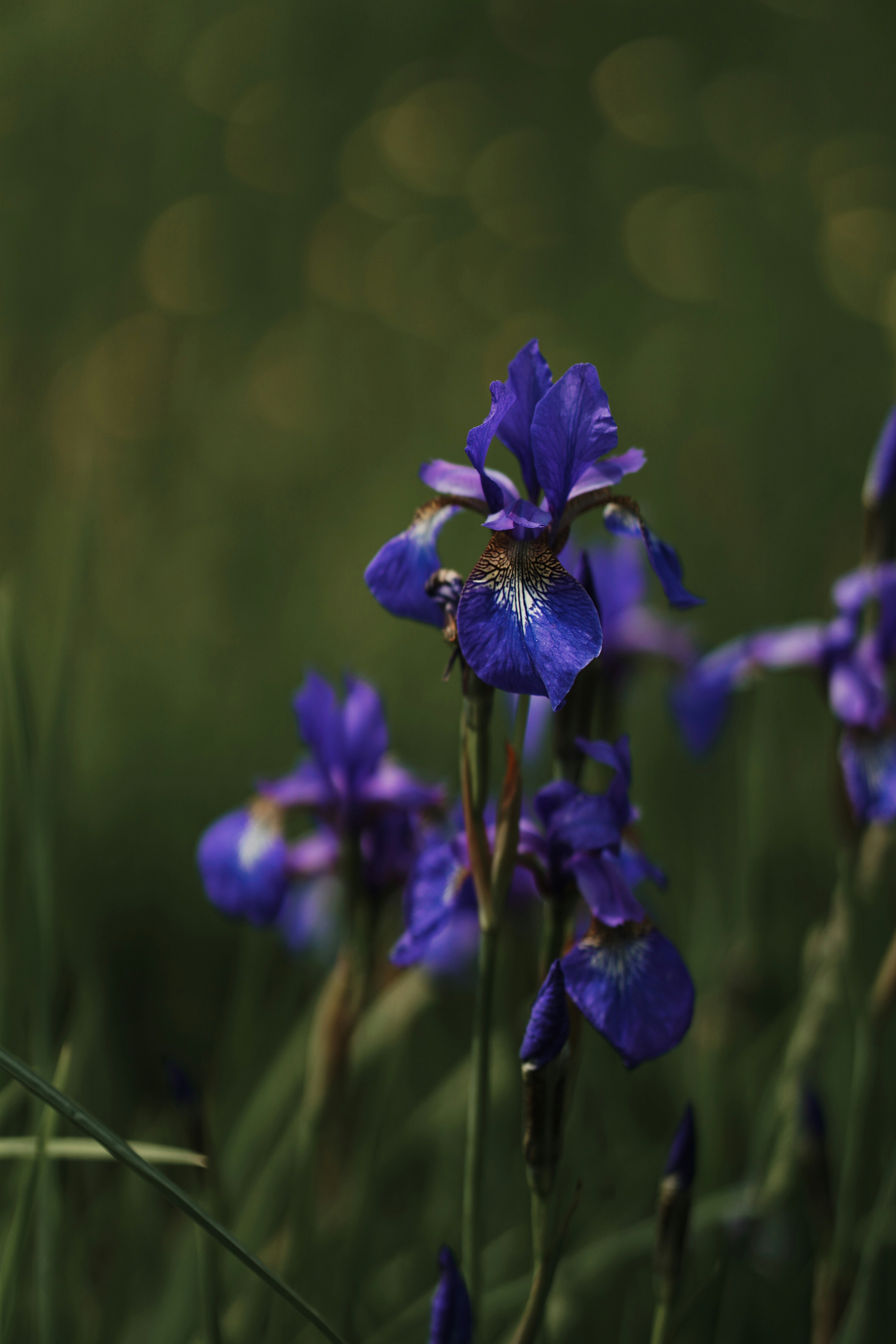 Photo by tayybahyasin