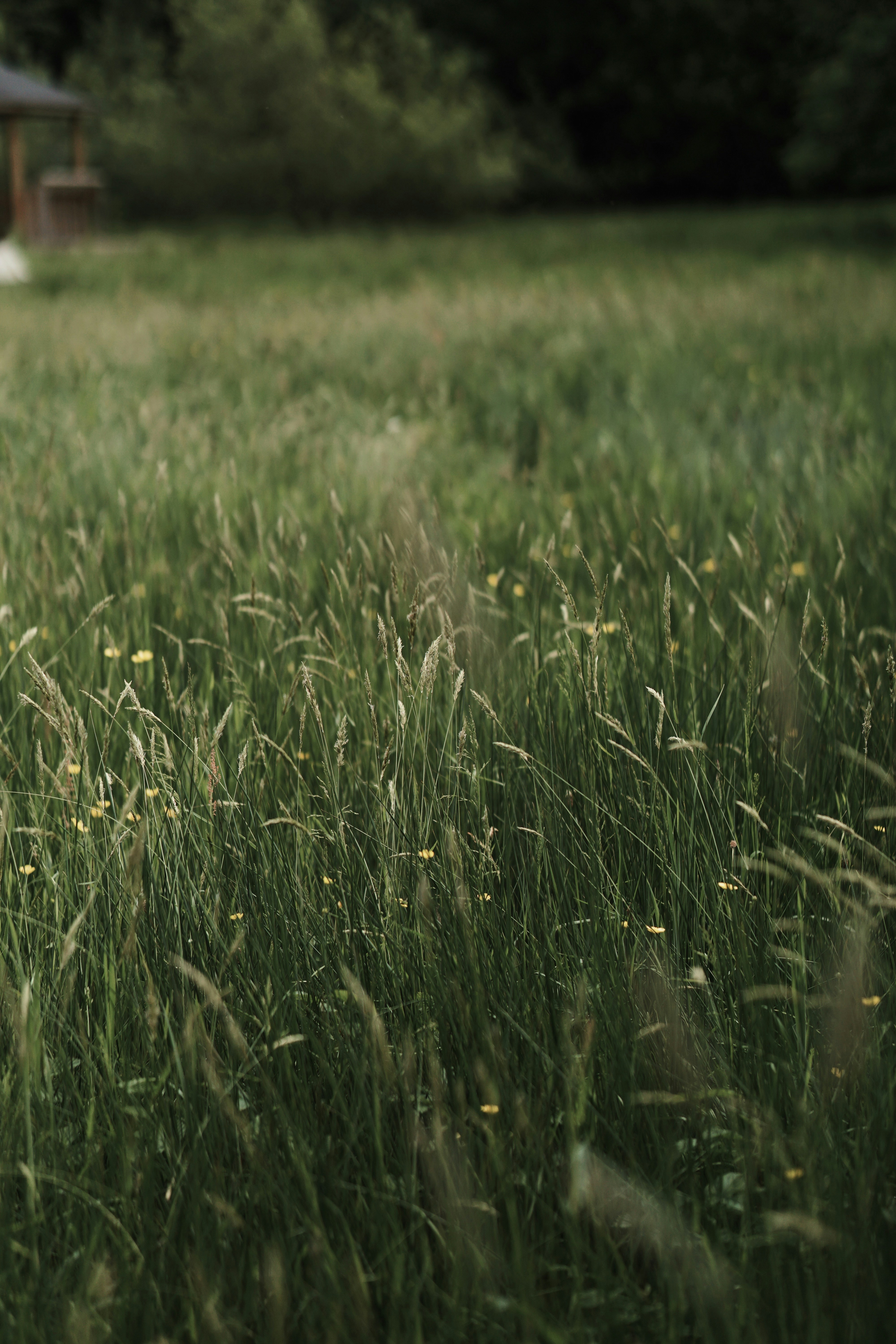 Photo by tayybahyasin