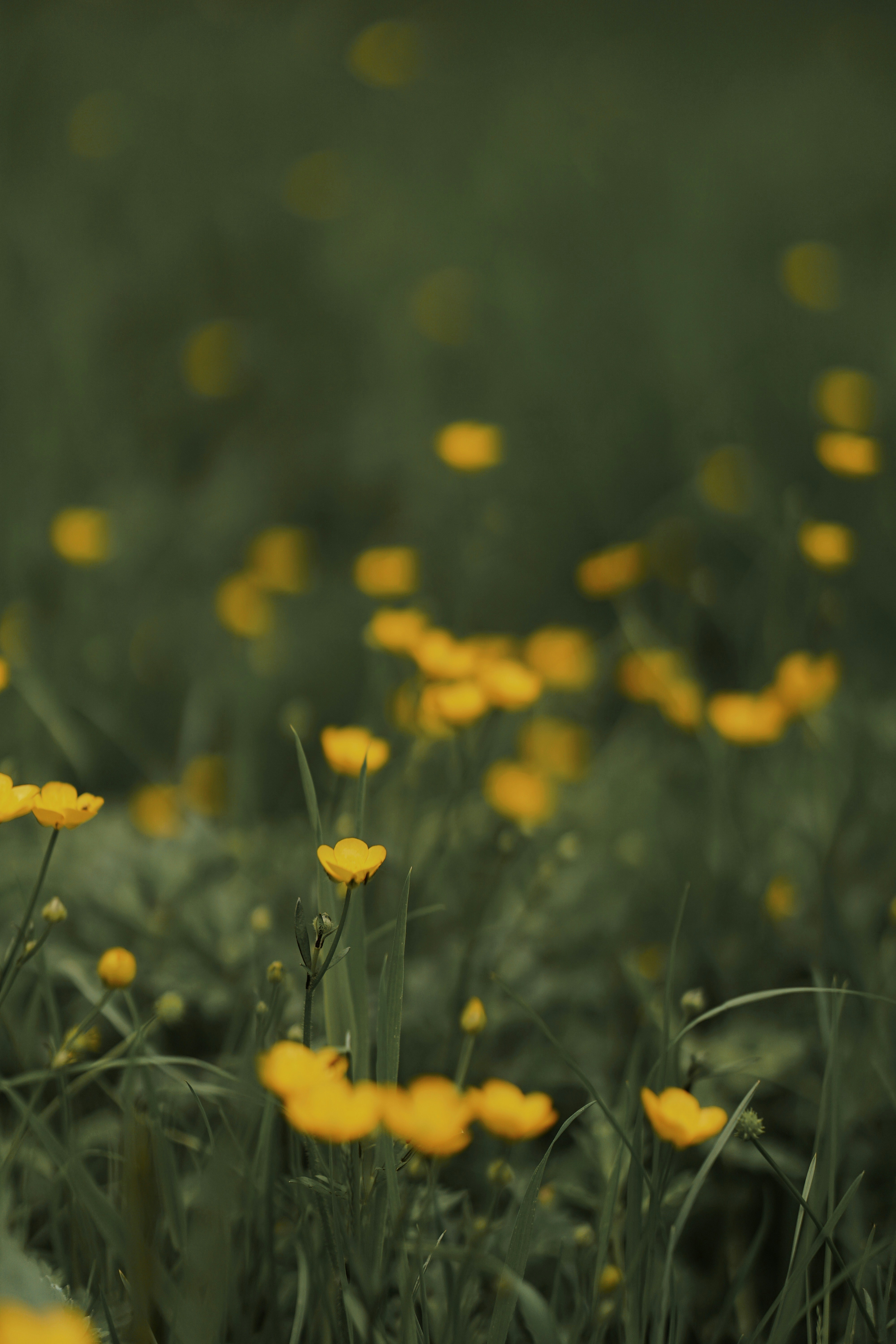 Photo by tayybahyasin