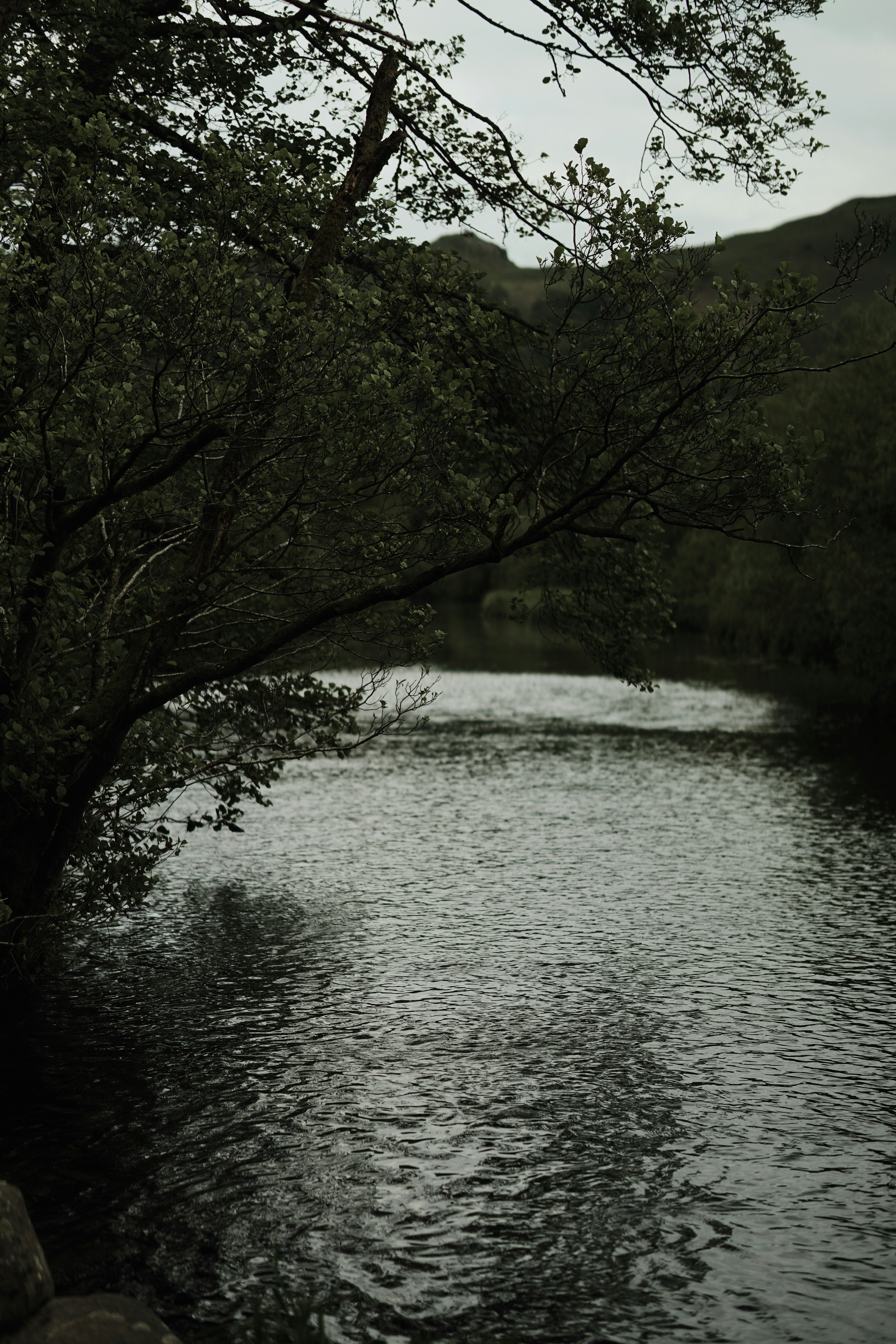 Photo by tayybahyasin