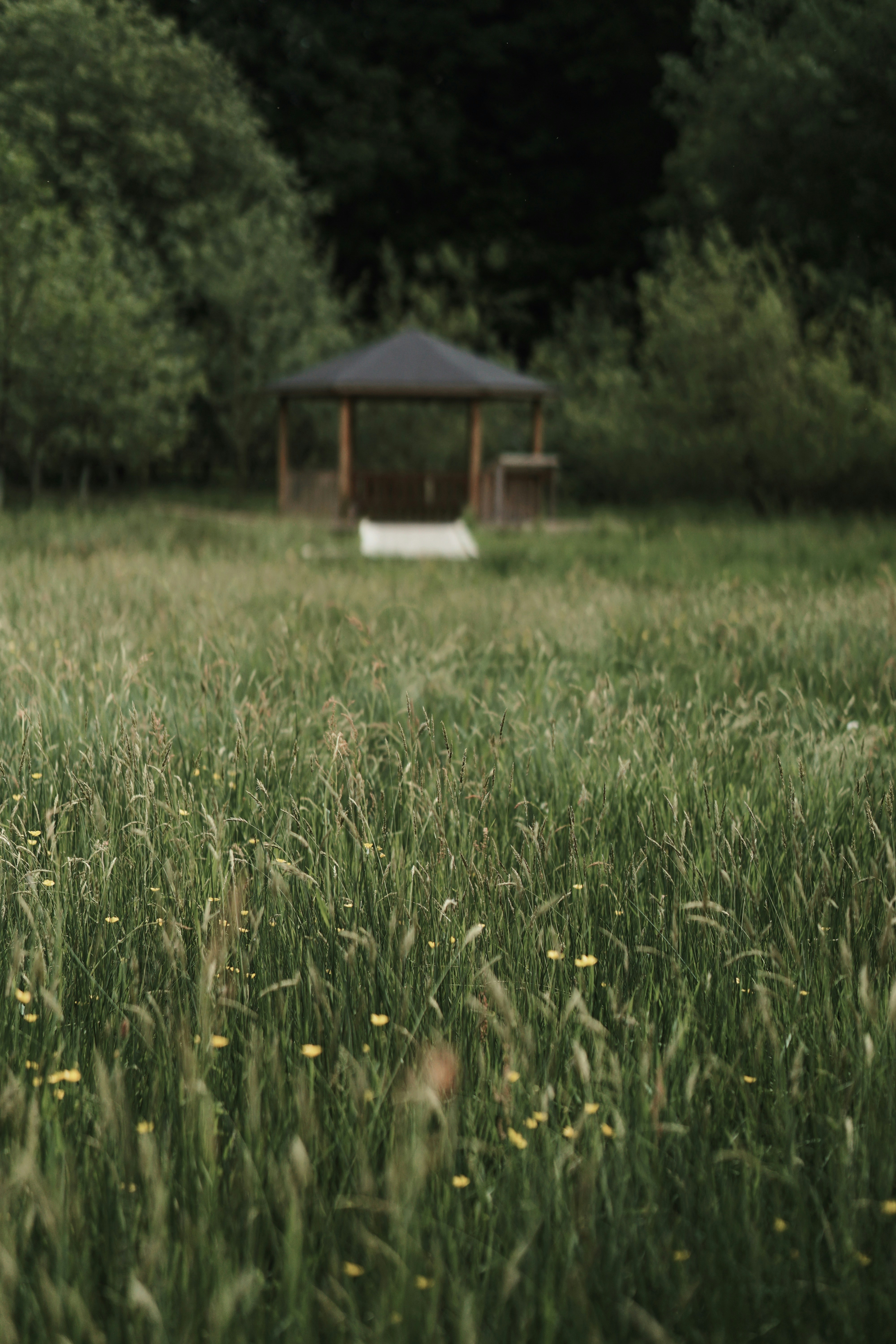 Photo by tayybahyasin