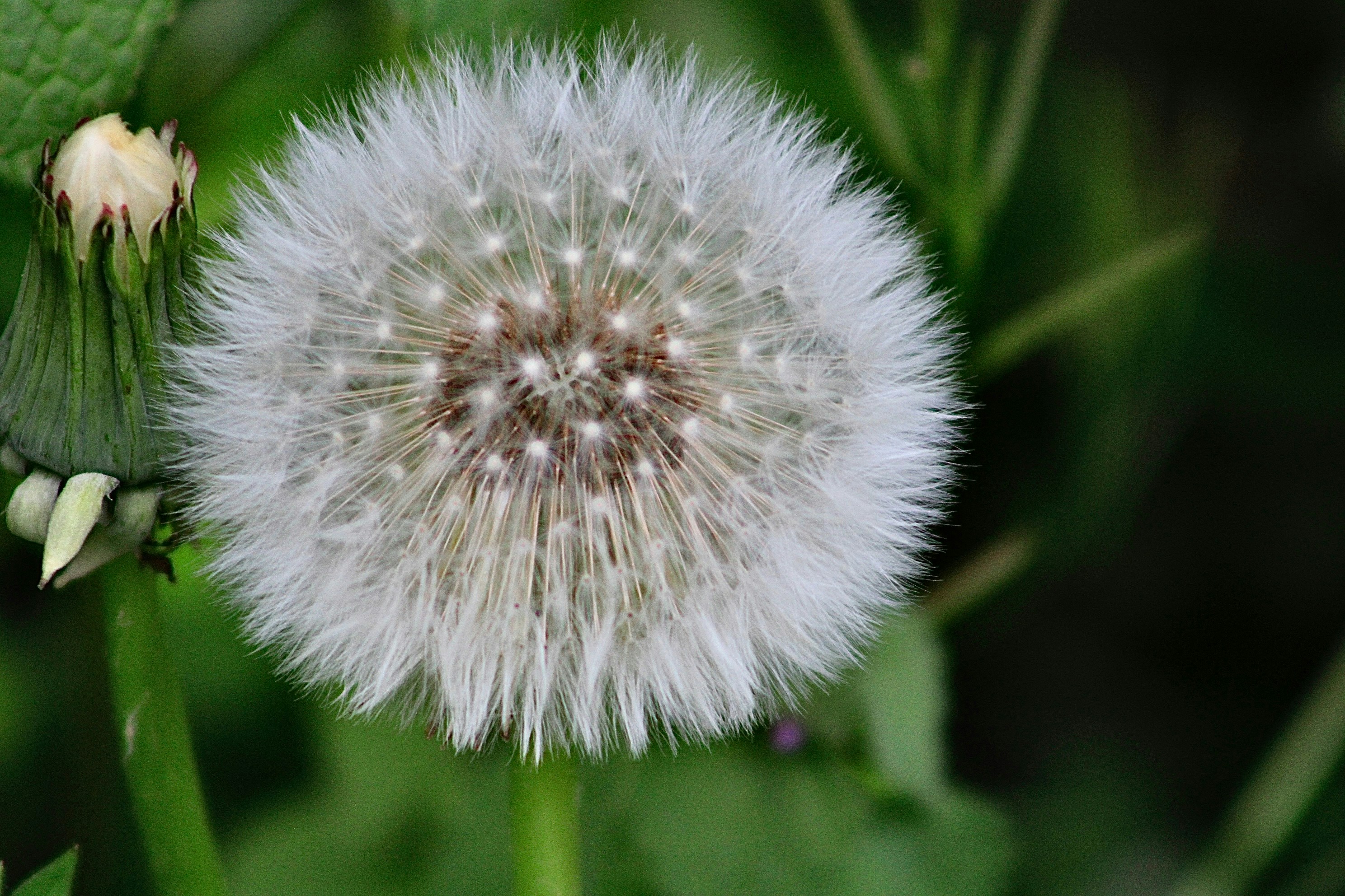 Photo by lisa_duqlaw