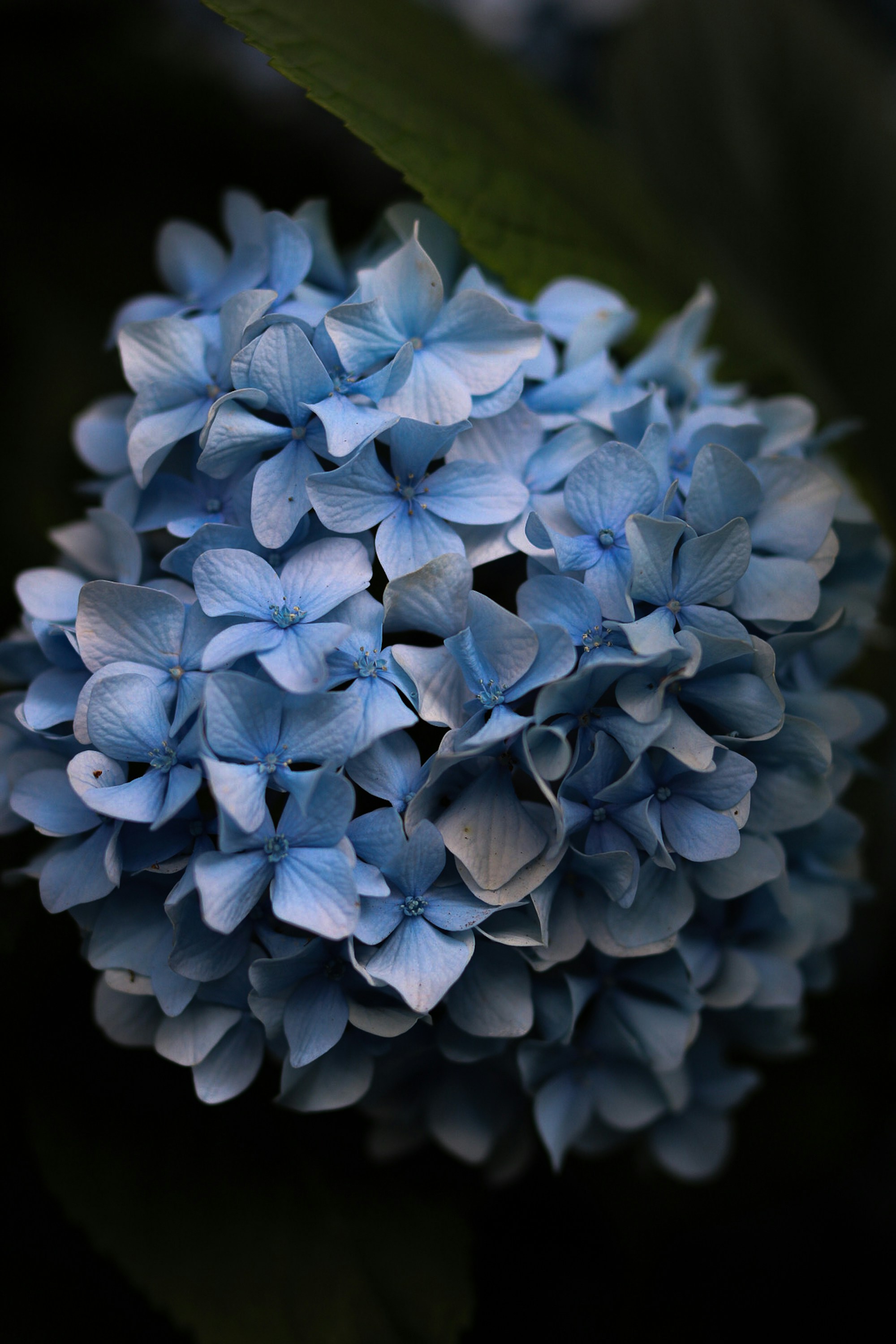 Photo by ashleycanaday