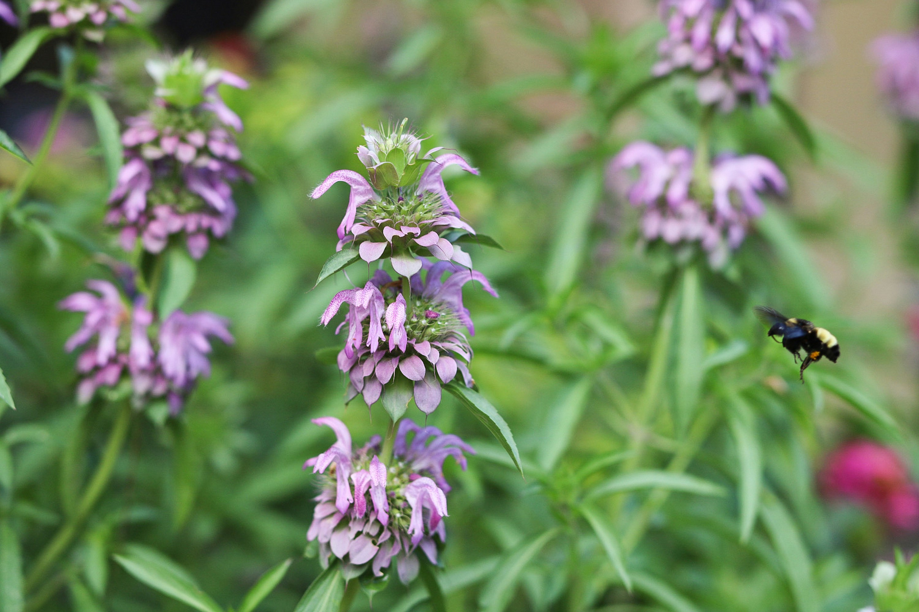 Photo by ashleycanaday