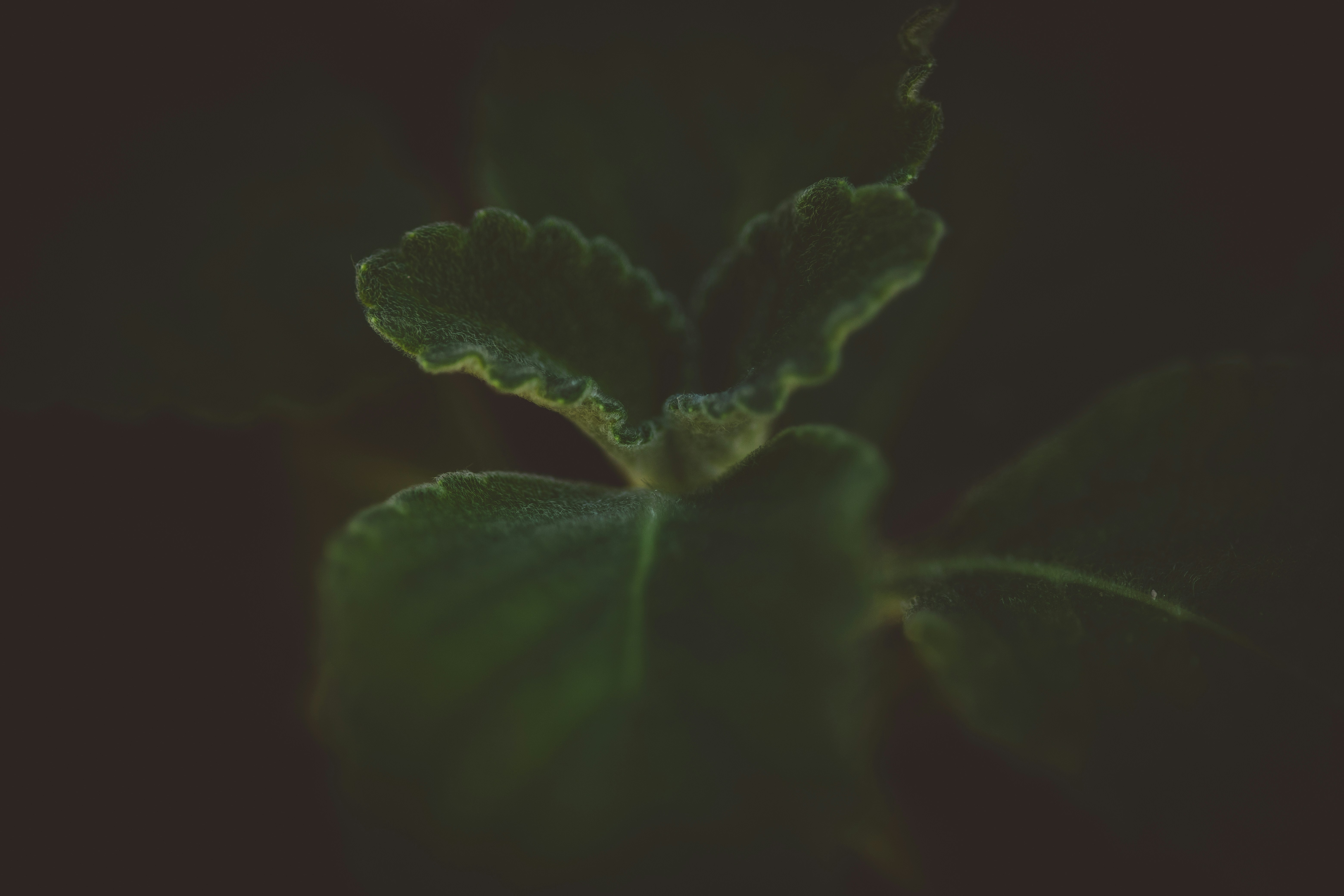 Photo by rrodriguesim