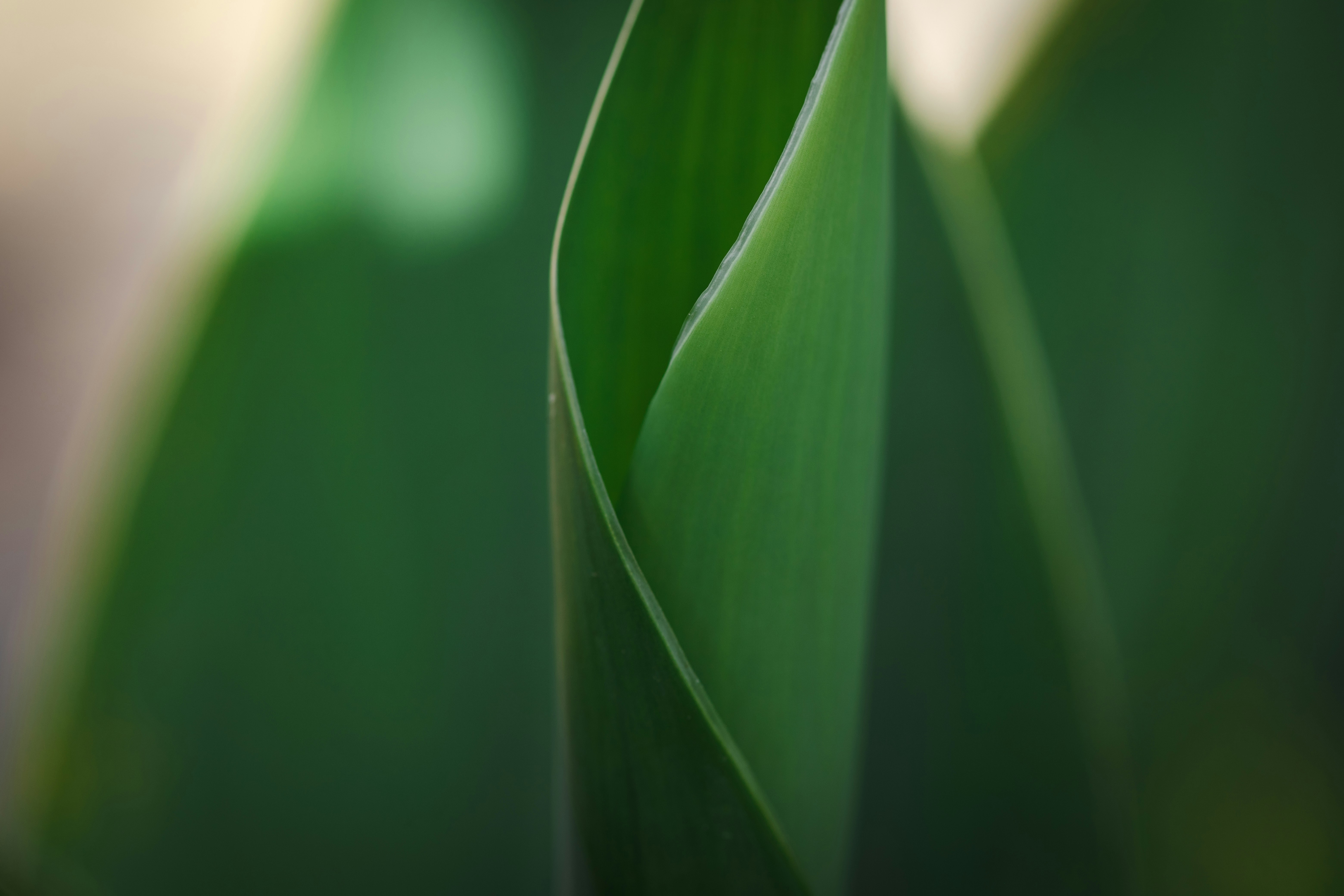 Photo by rrodriguesim