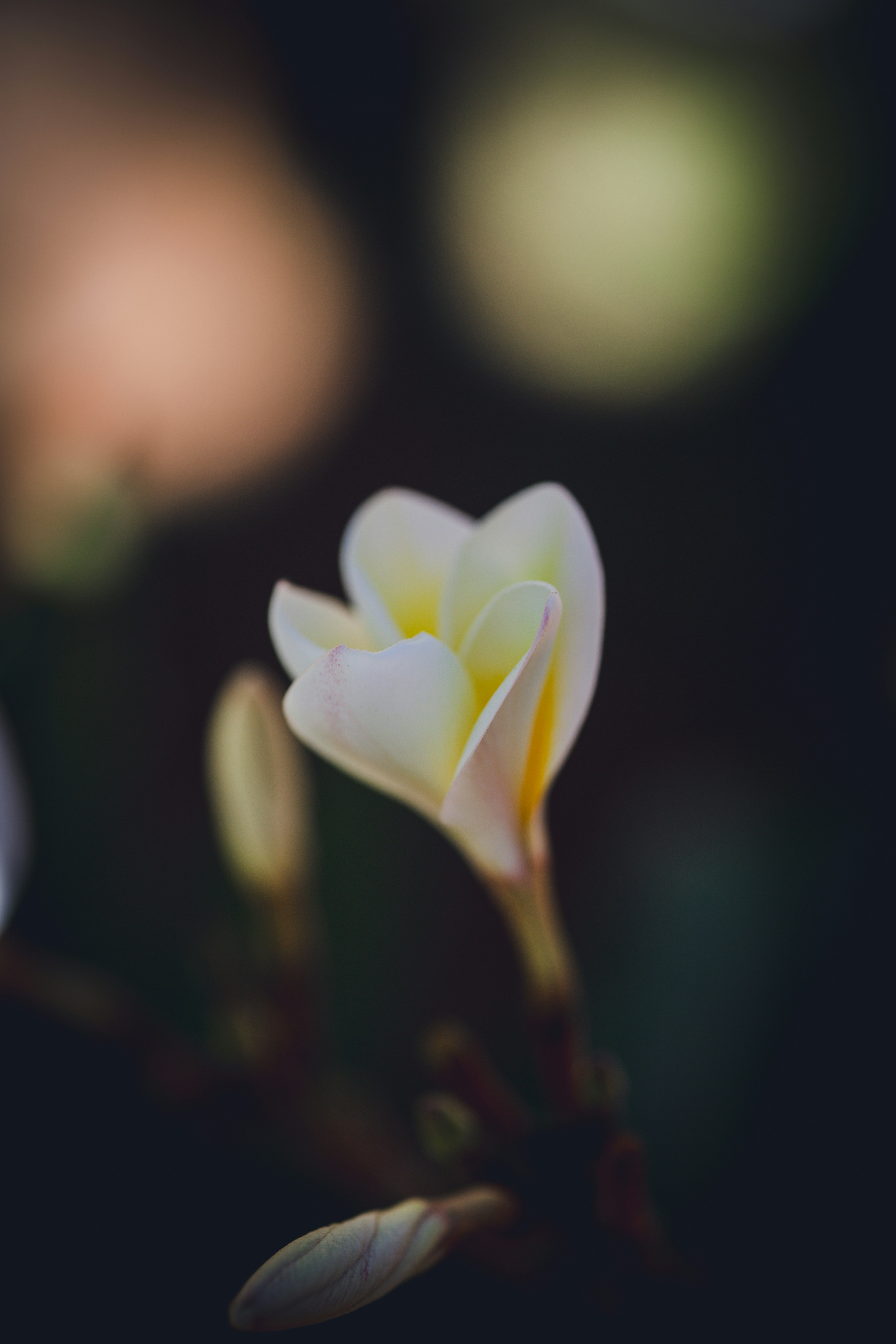 Photo by rrodriguesim