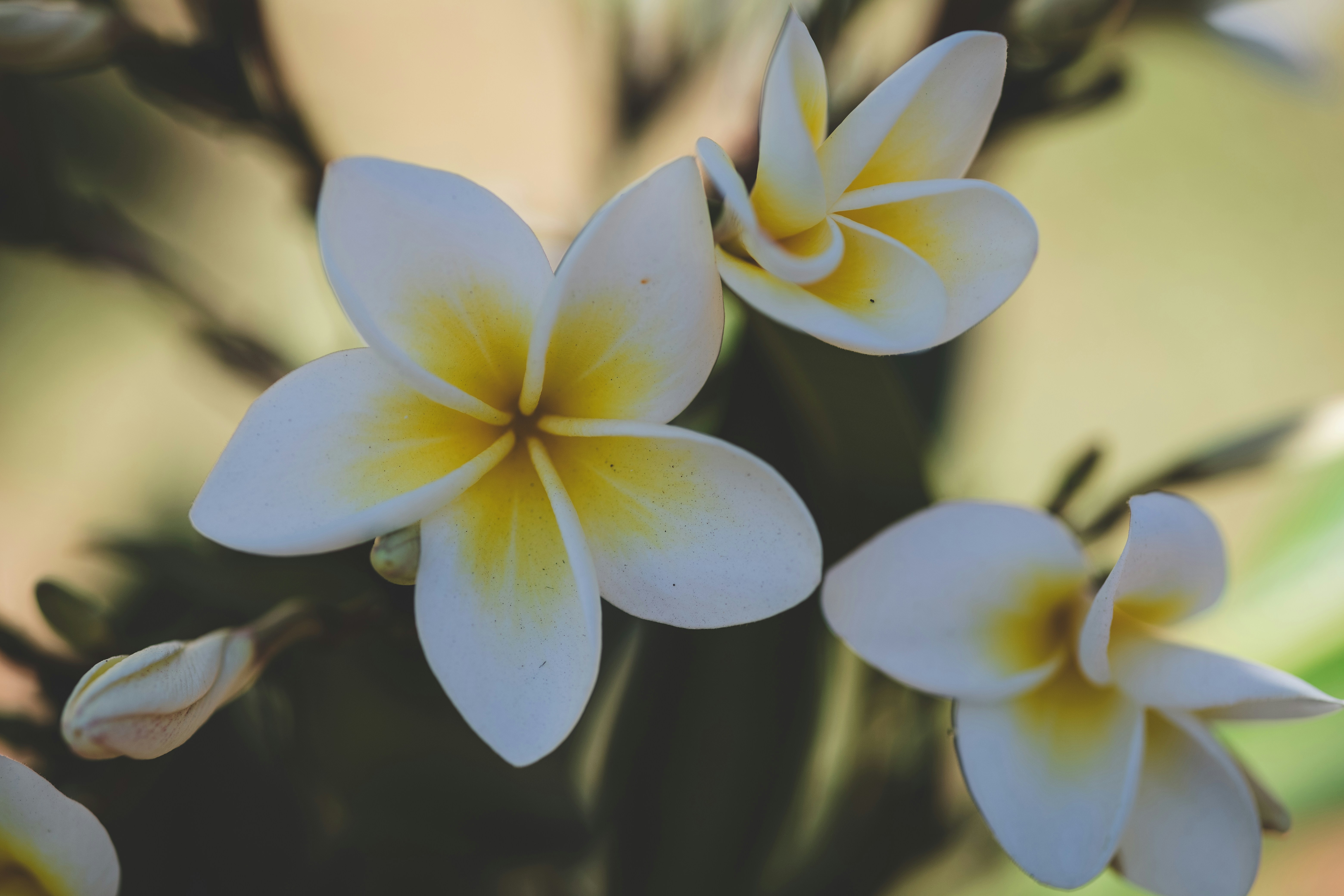 Photo by rrodriguesim