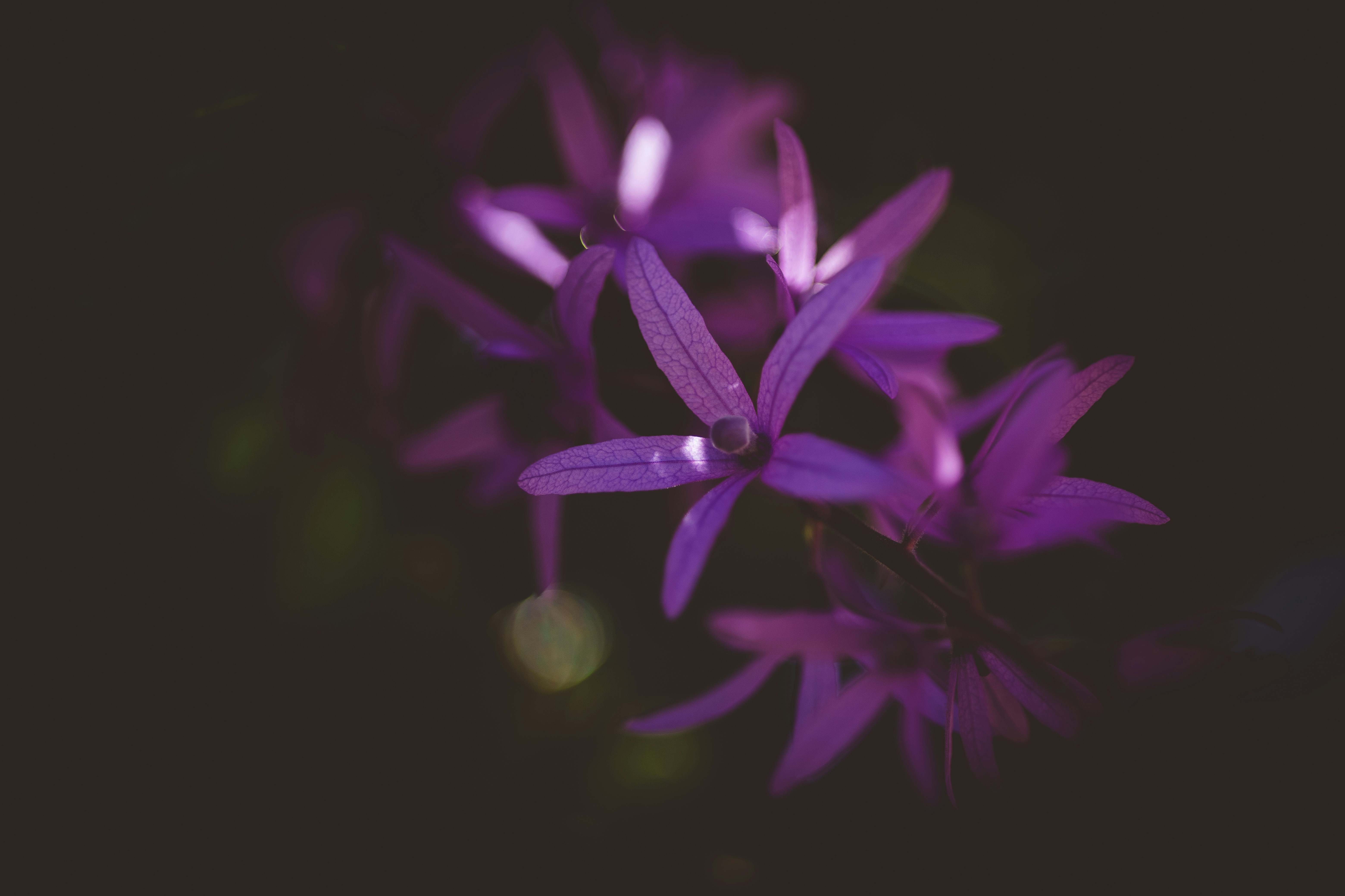 Photo by rrodriguesim