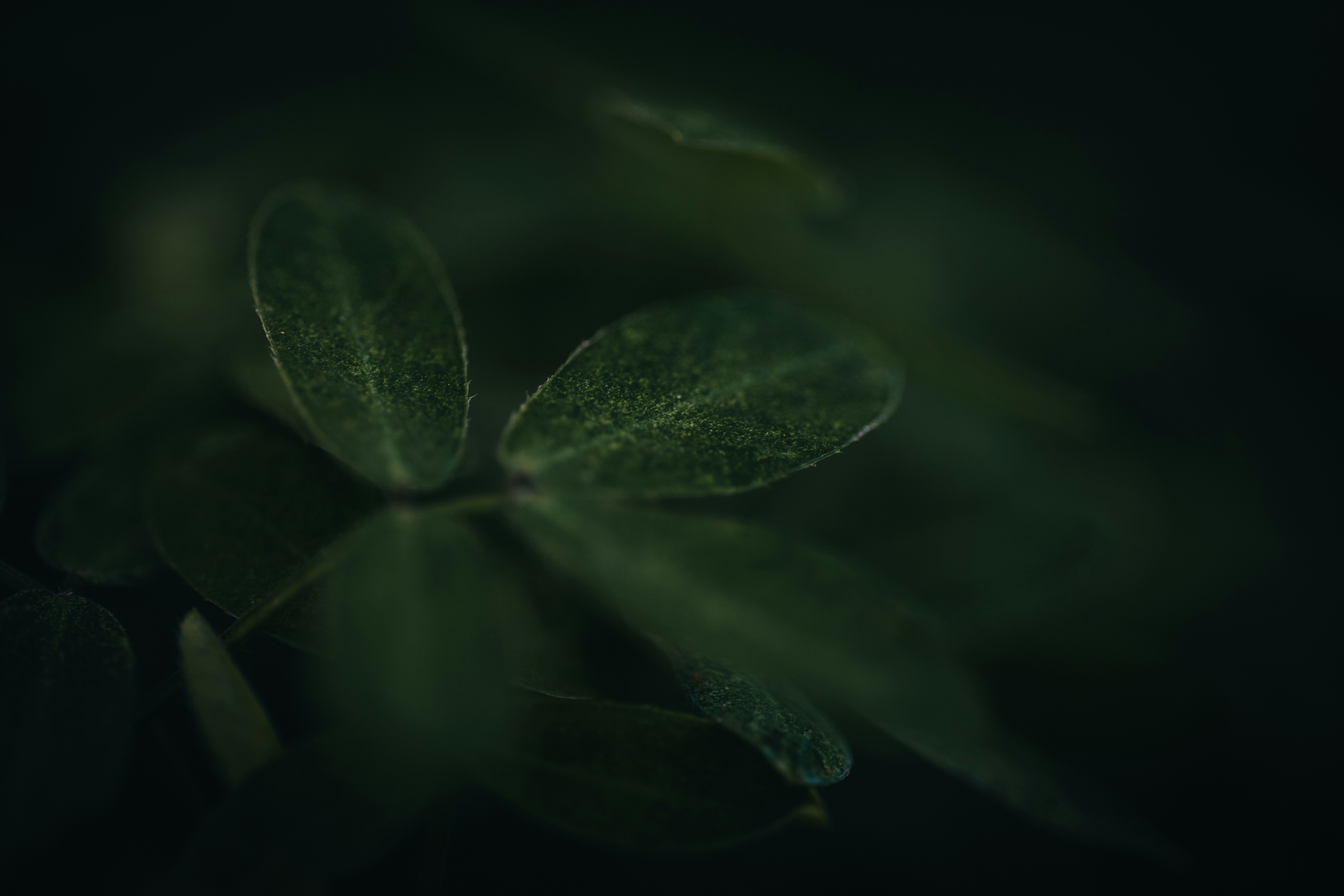 Photo by rrodriguesim