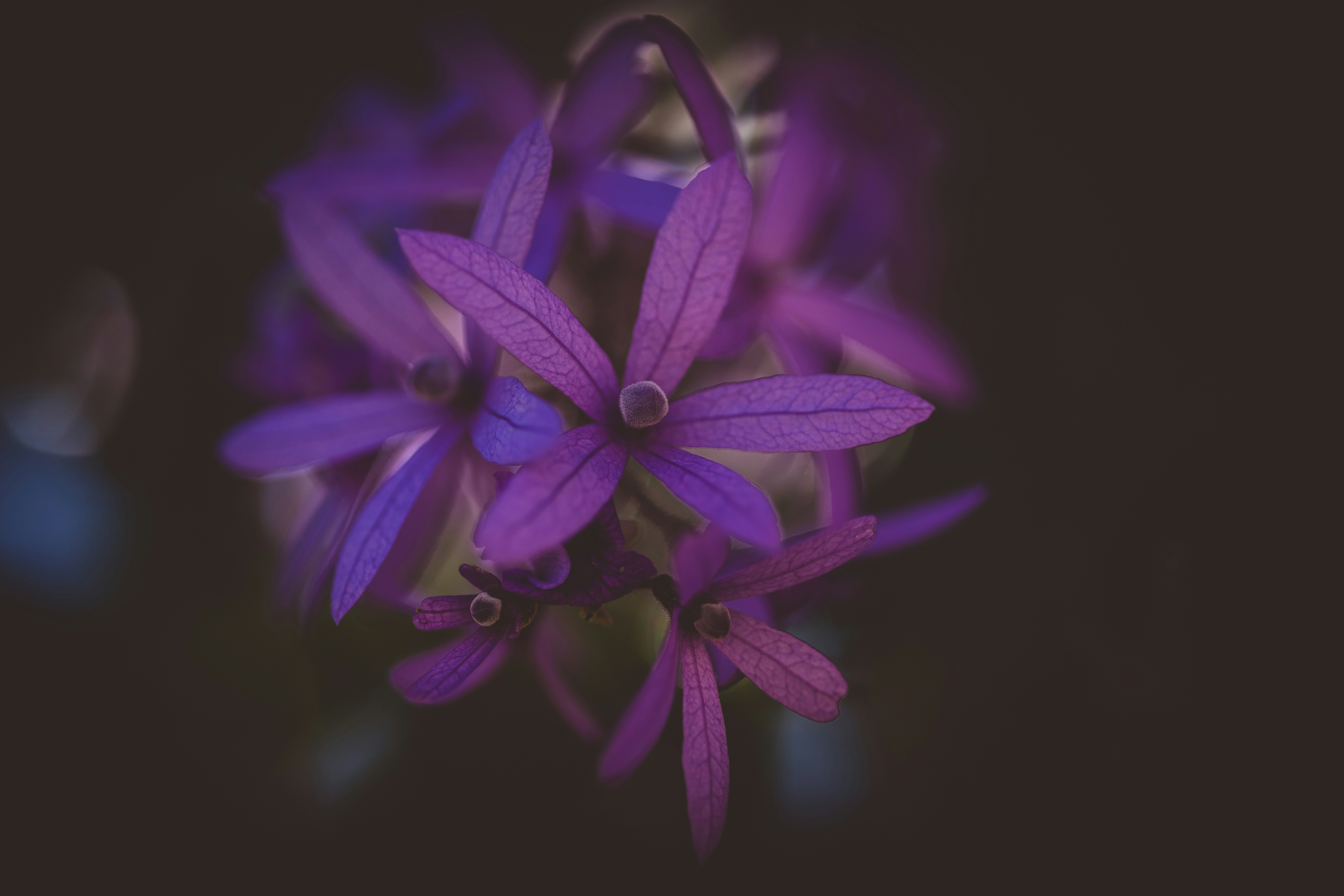 Photo by rrodriguesim