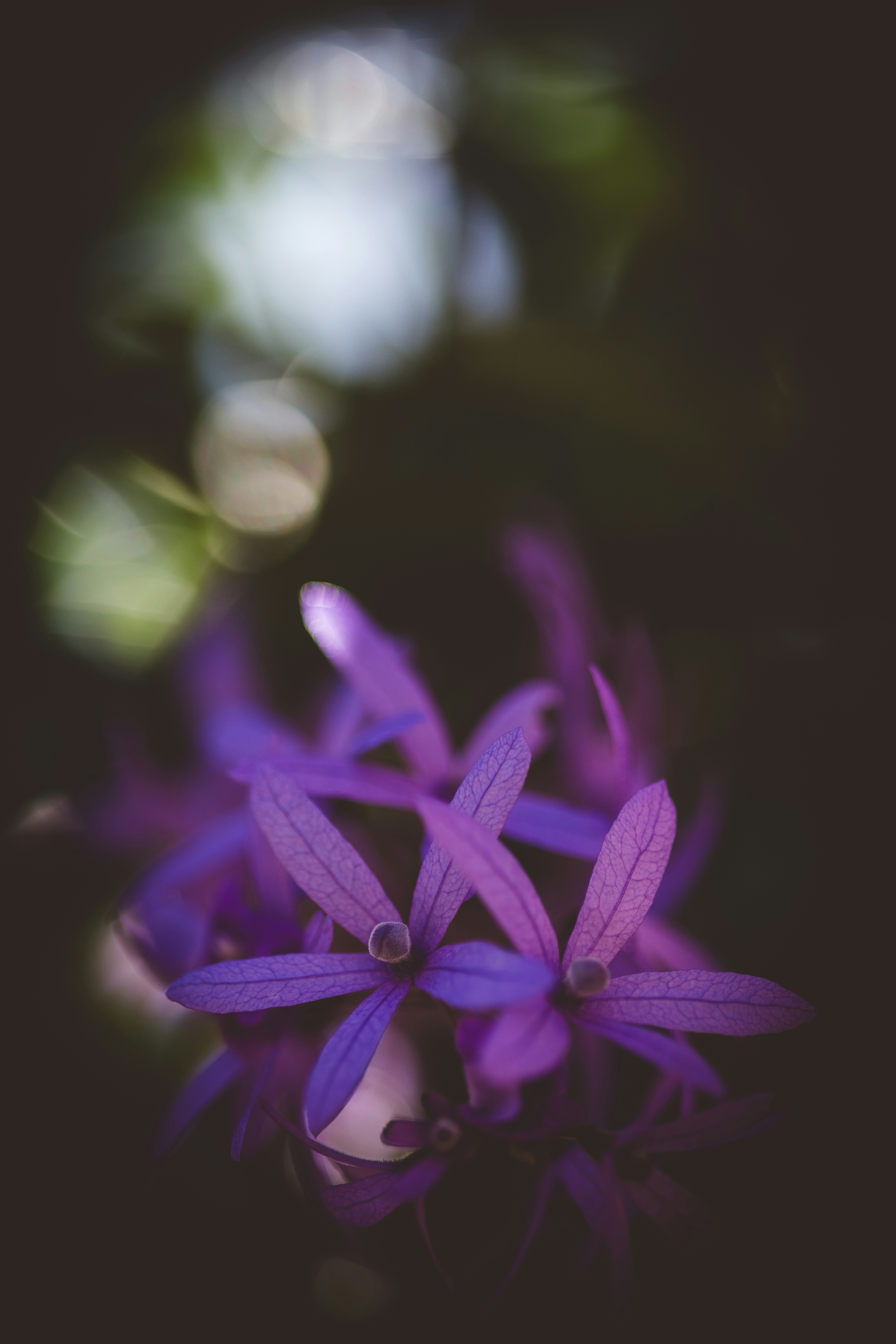 Photo by rrodriguesim