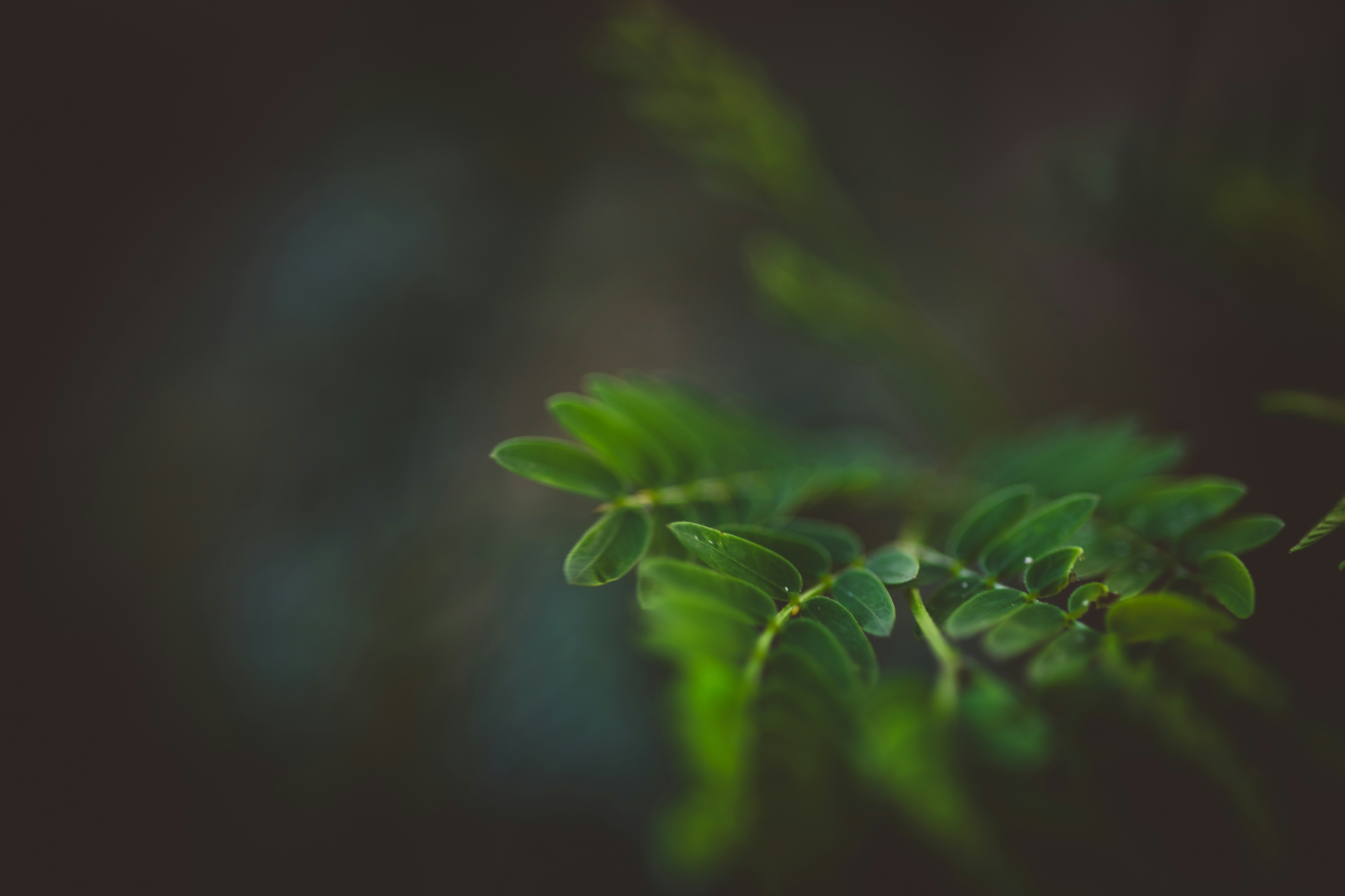 Photo by rrodriguesim