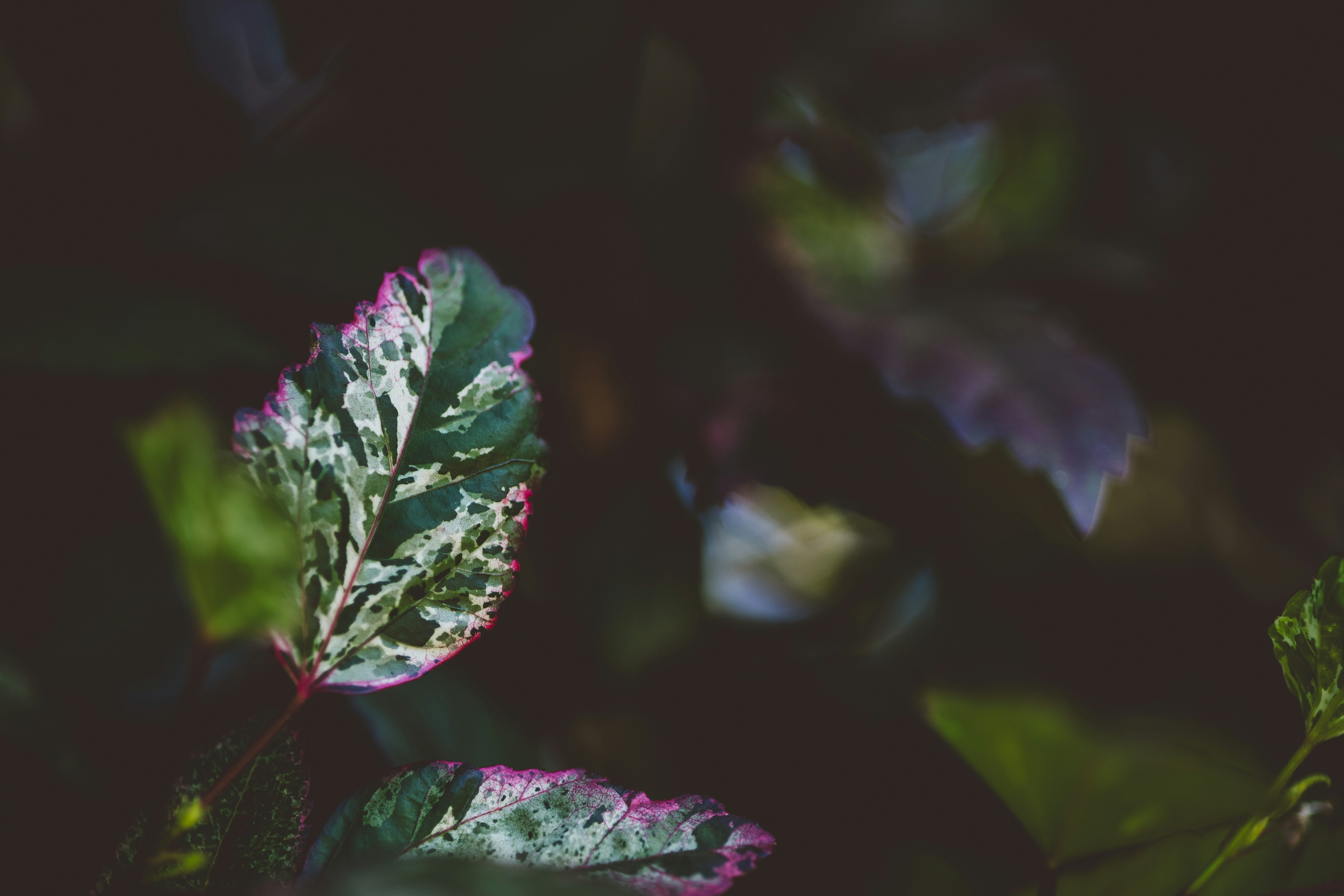 Photo by rrodriguesim