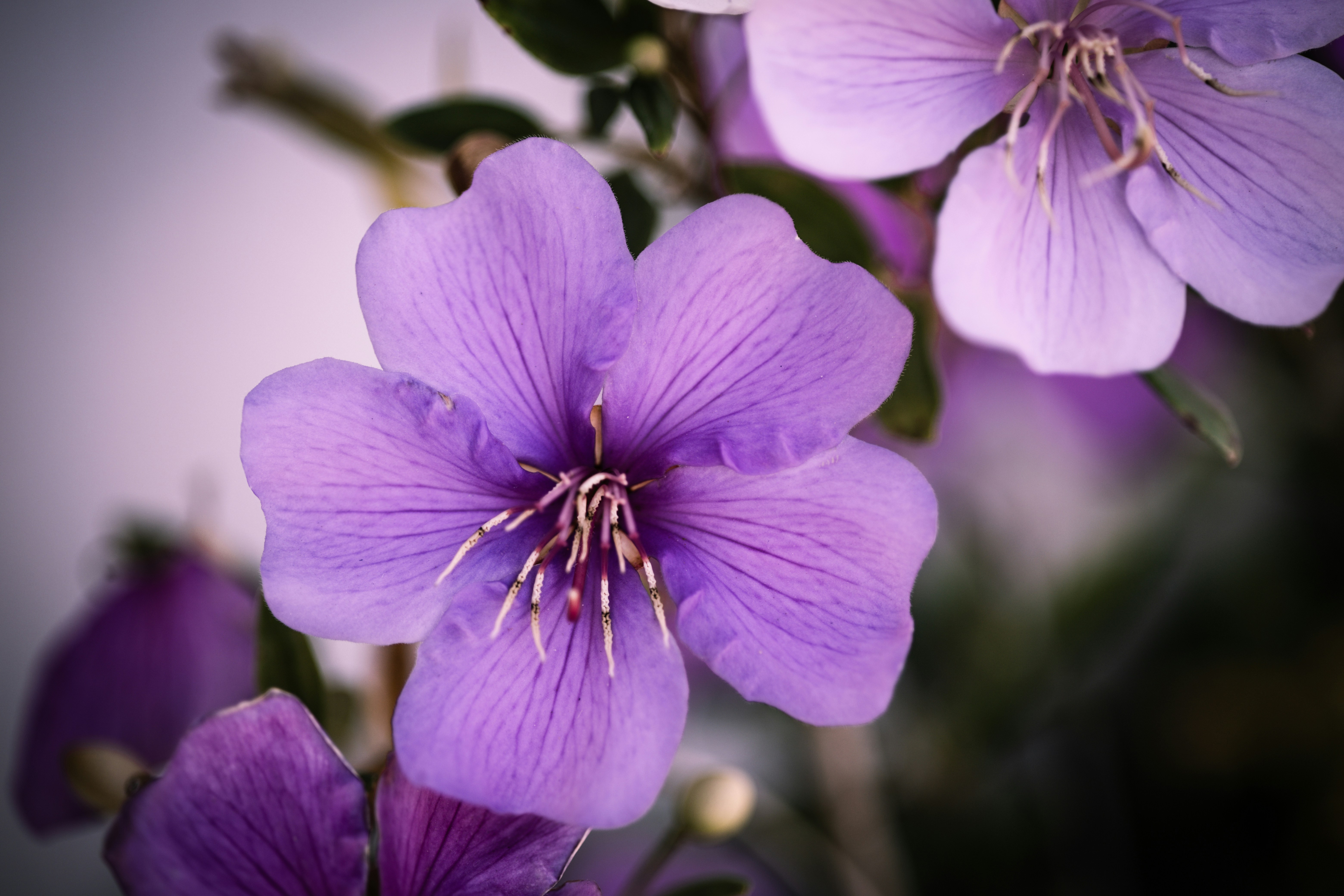 Photo by rrodriguesim